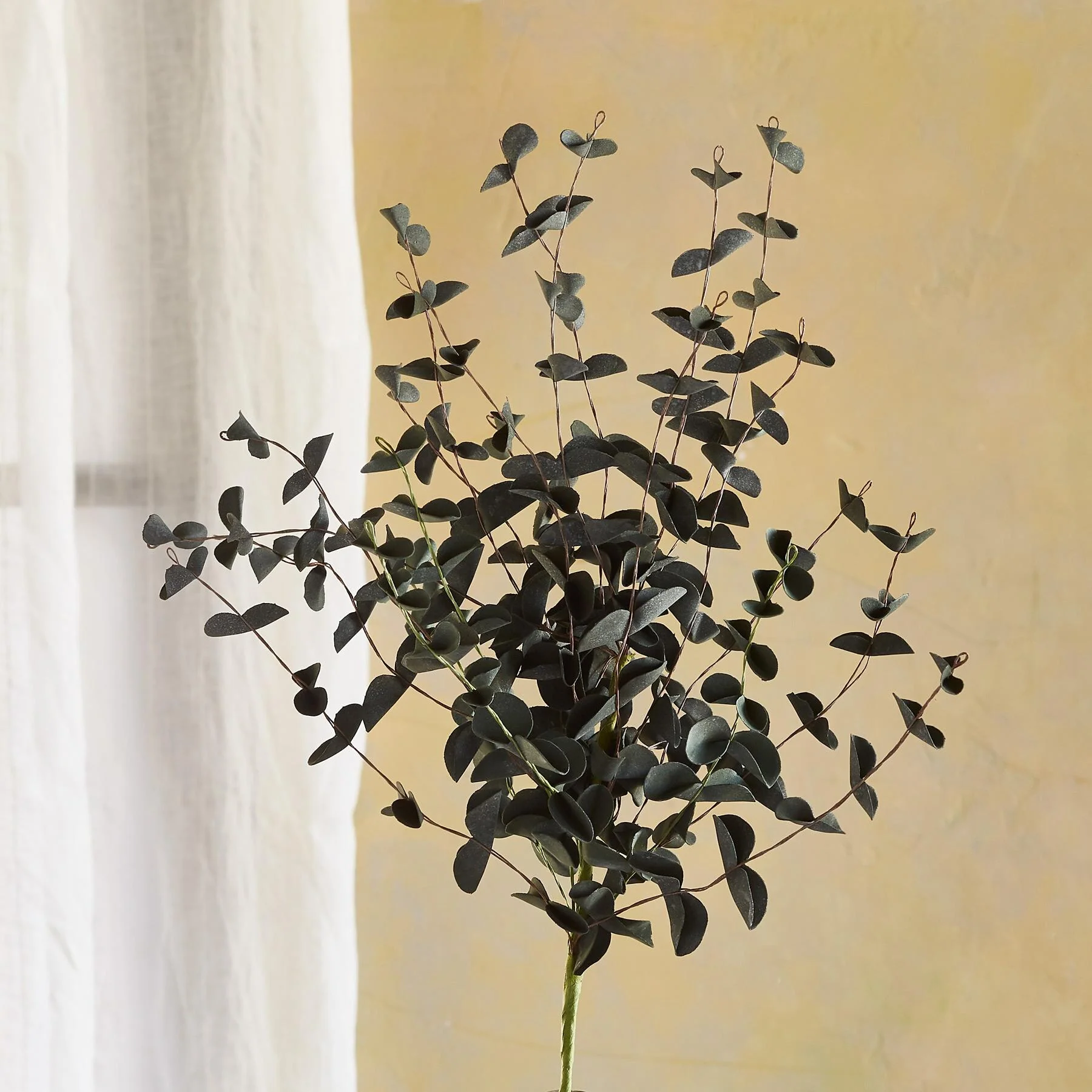 Bountiful Botanicals