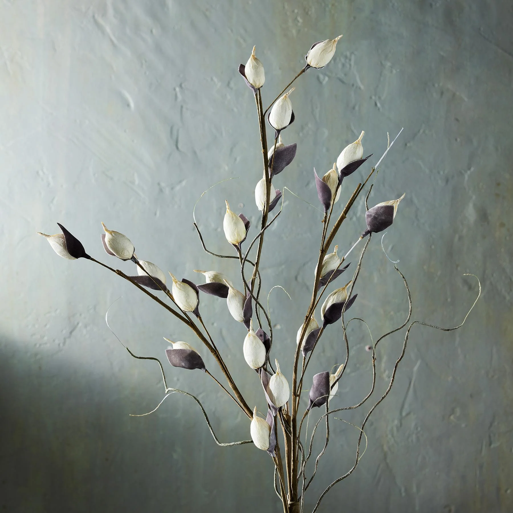 Bountiful Botanicals