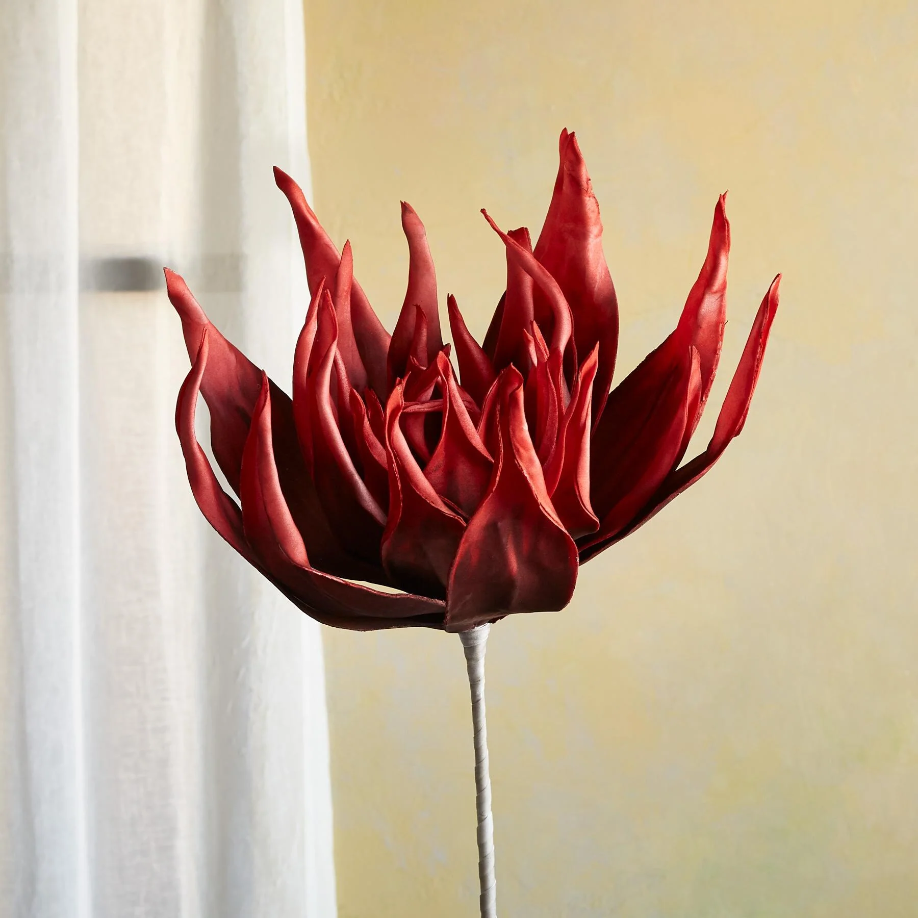 Bountiful Botanicals