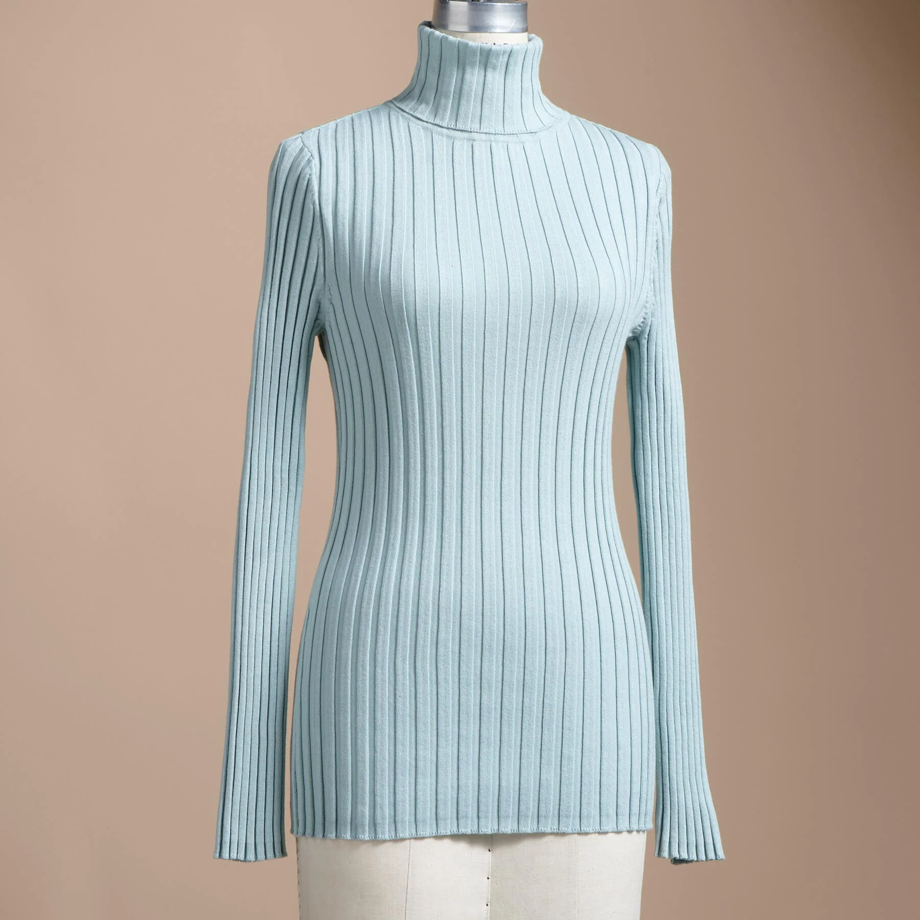 Legends Turtleneck, Petite