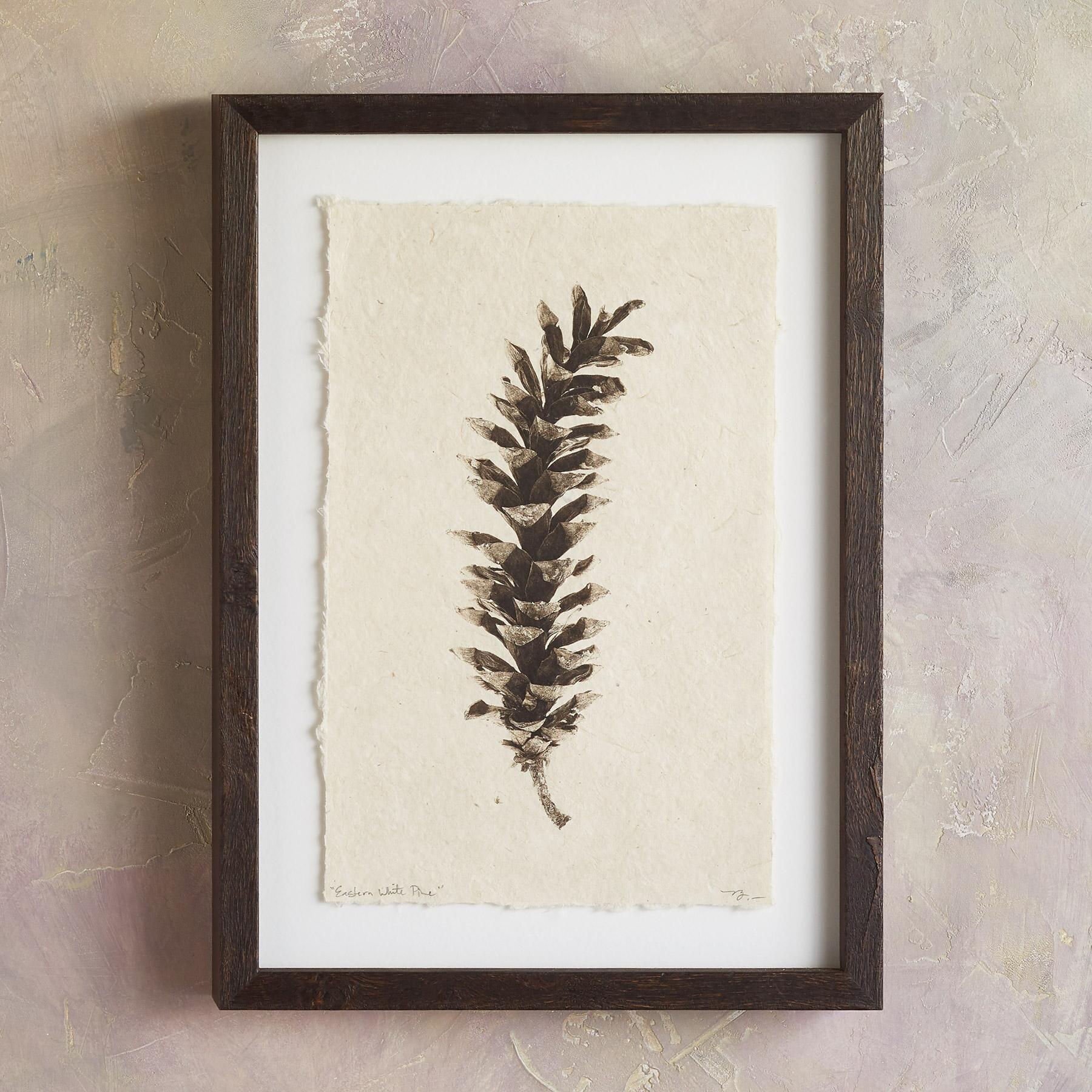 Pinecone Studies Print