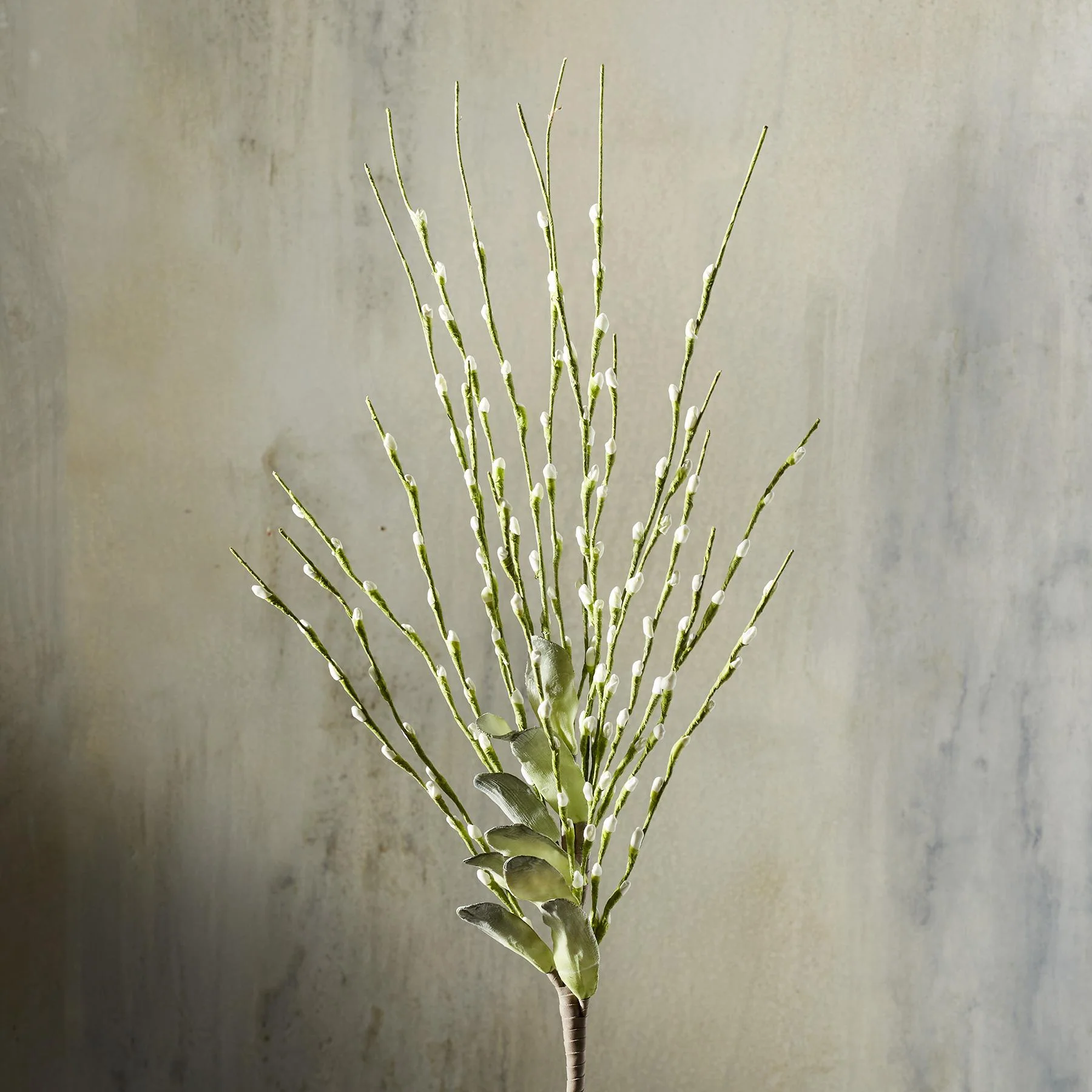 Bountiful Botanicals