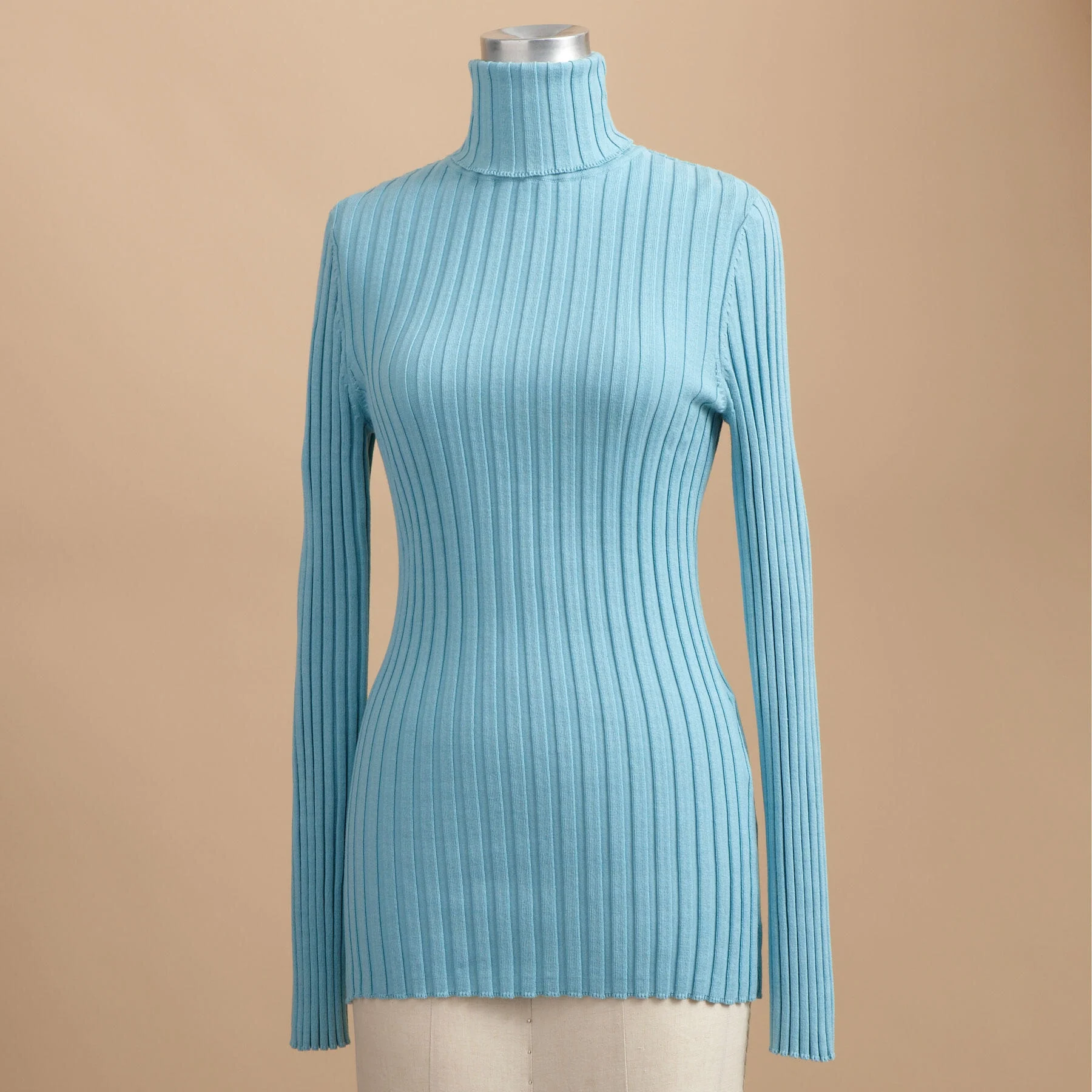 Legends Turtleneck, Petite