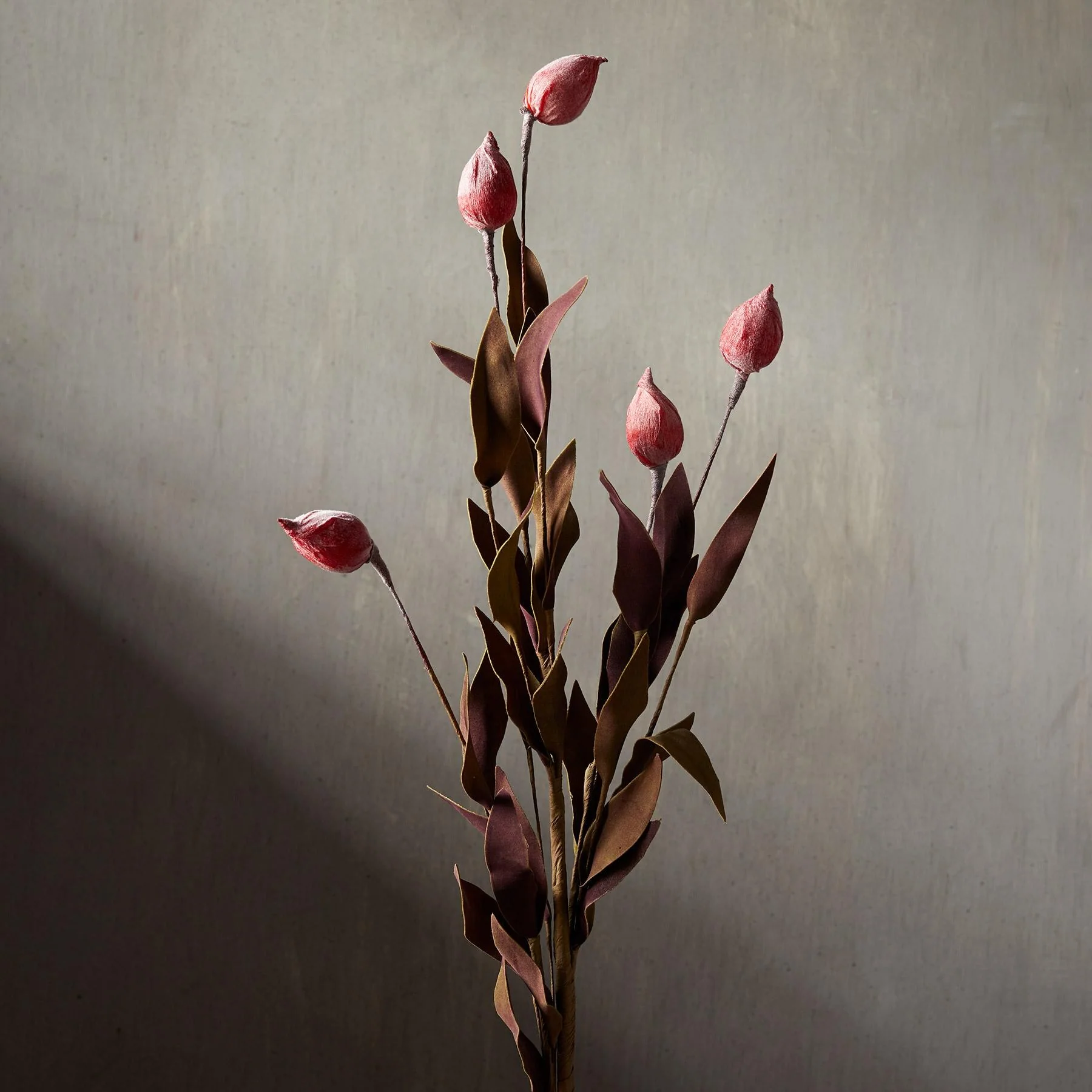 Bountiful Botanicals