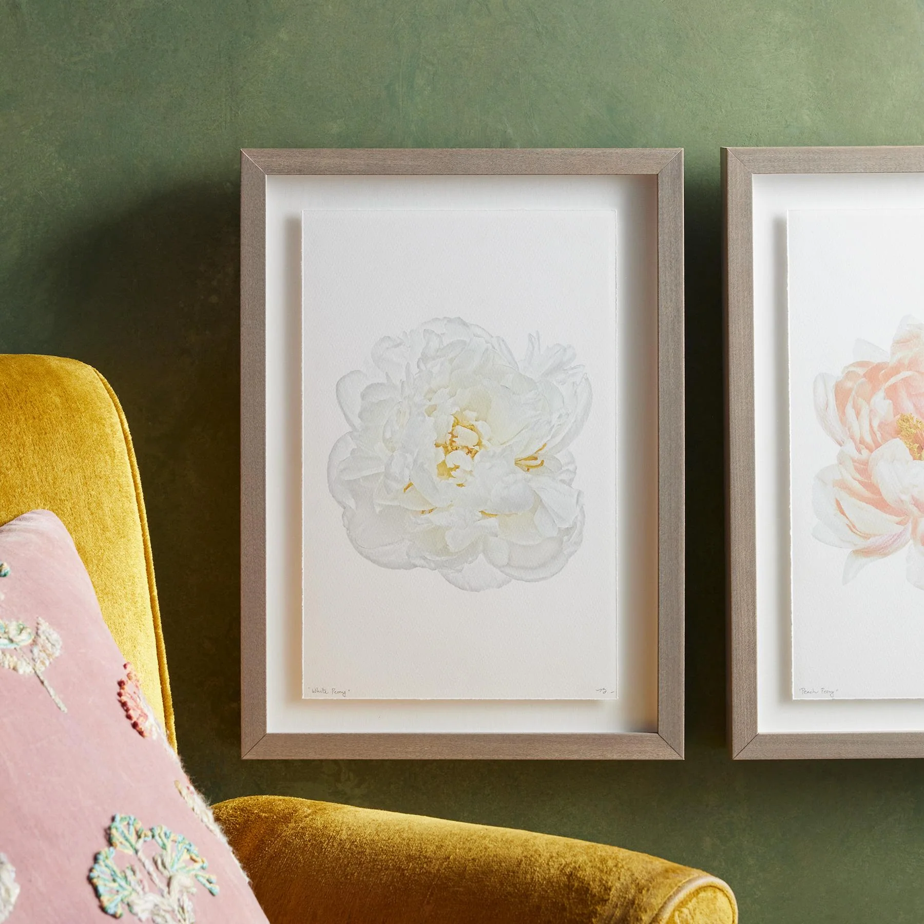 Peony Studies Prints