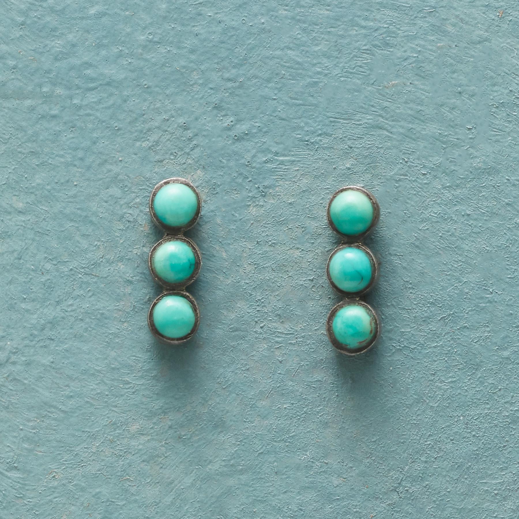 Unpredictable Turquoise Earrings