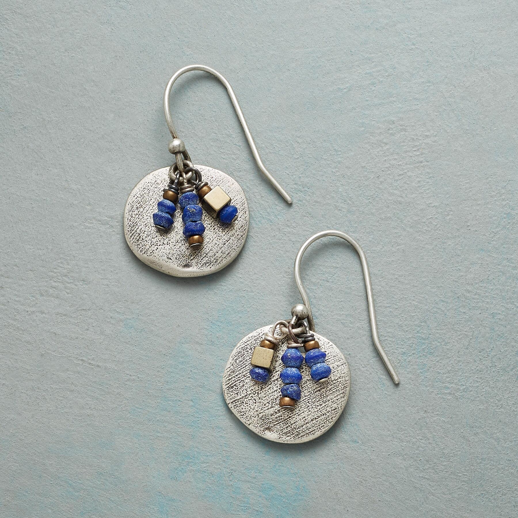 Rain Catcher Earrings
