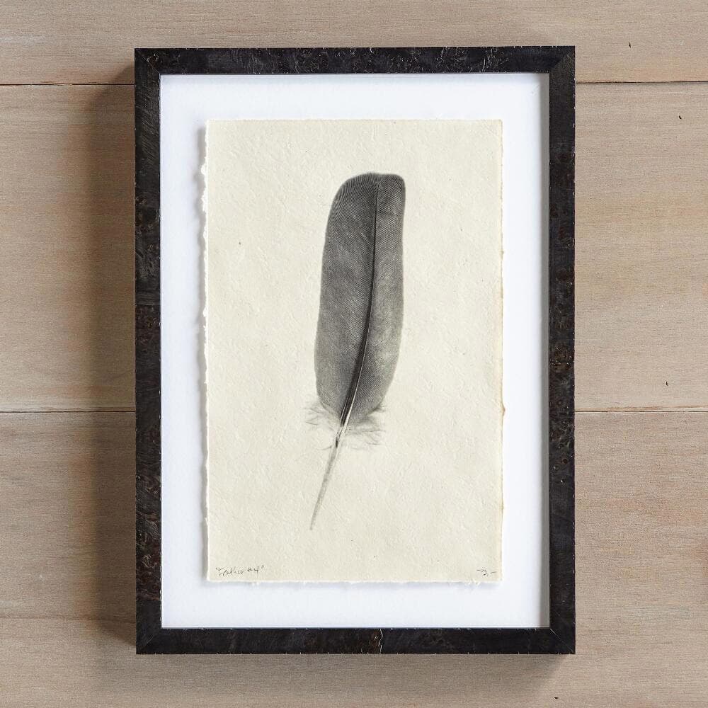 Feather Studies Print