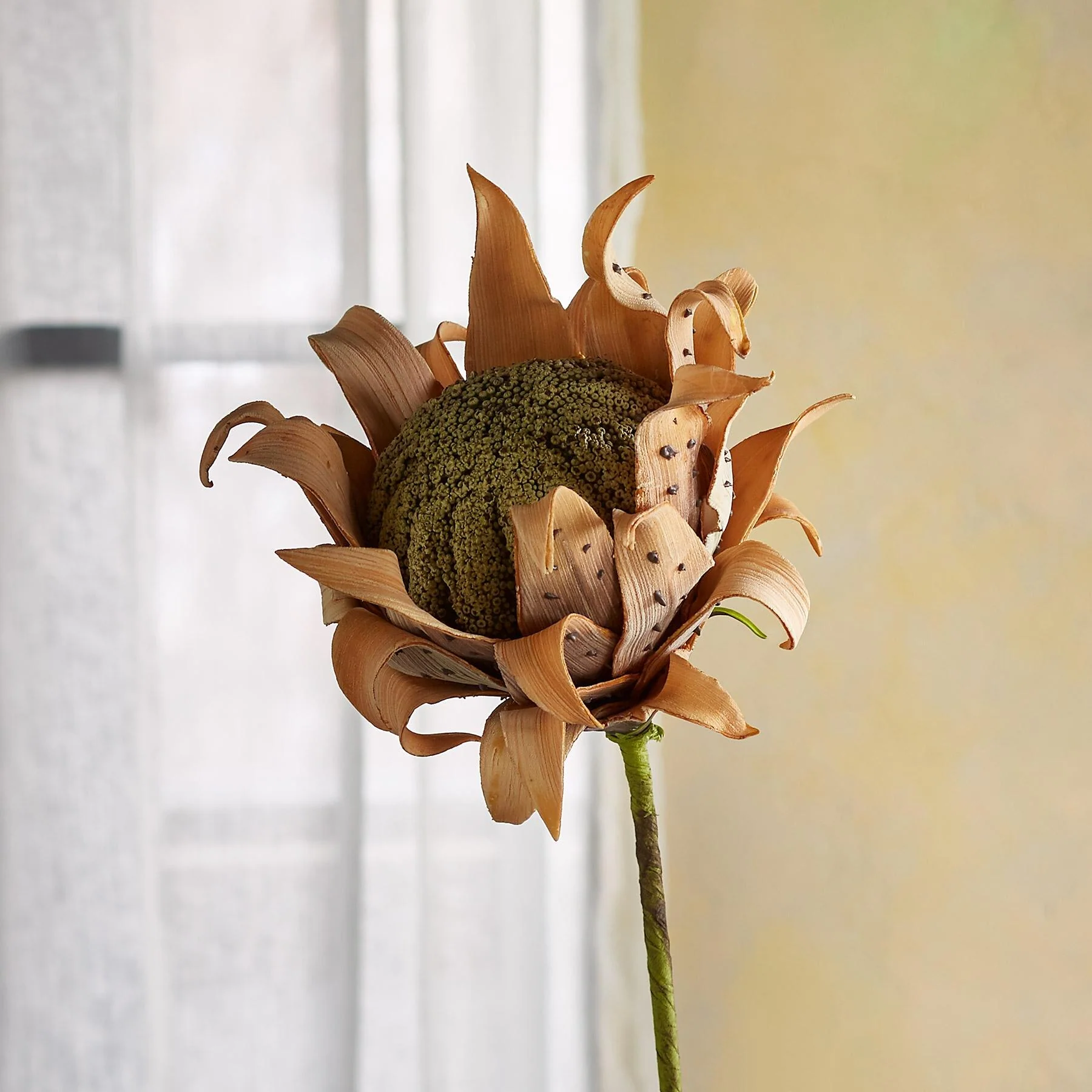 Bountiful Botanicals