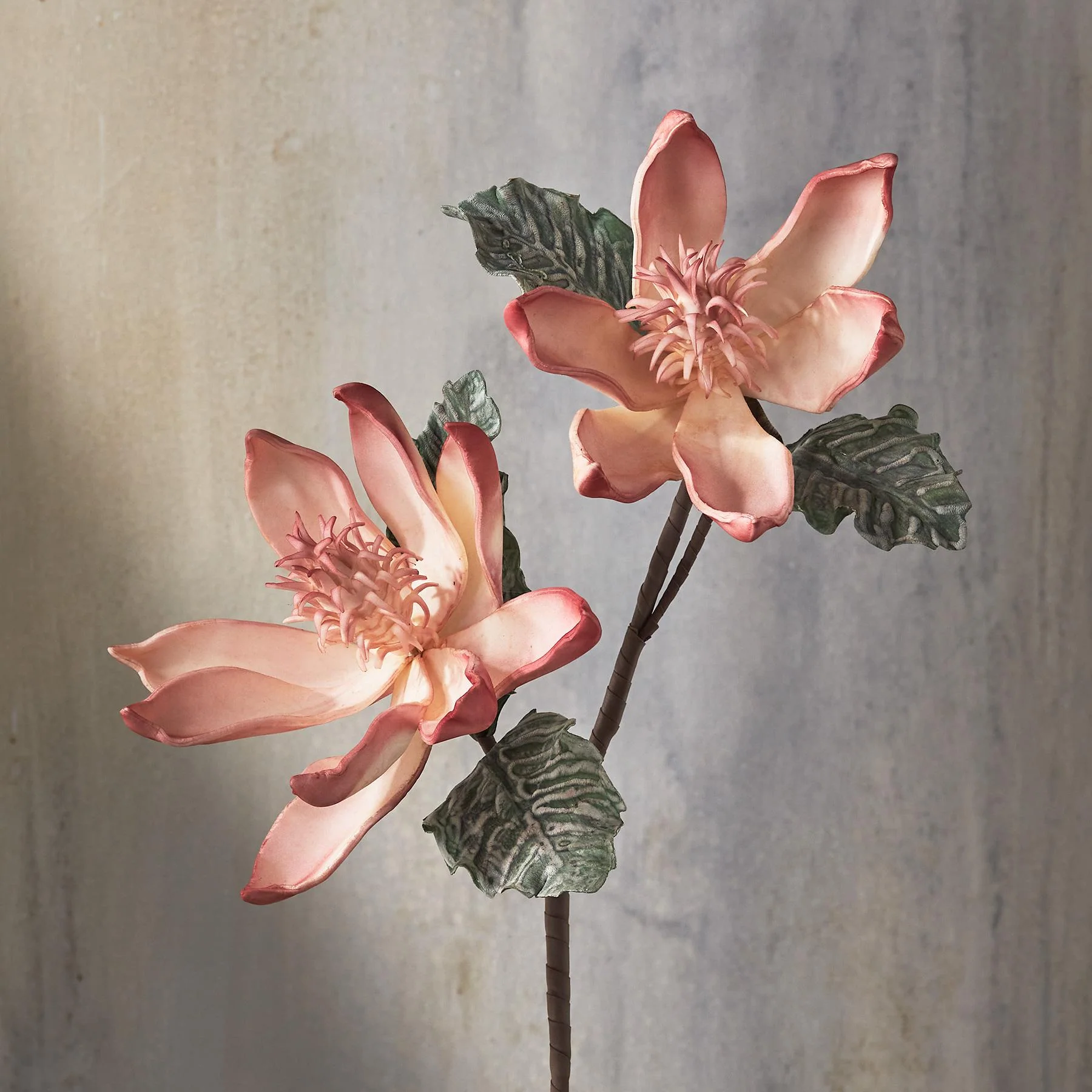 Bountiful Botanicals