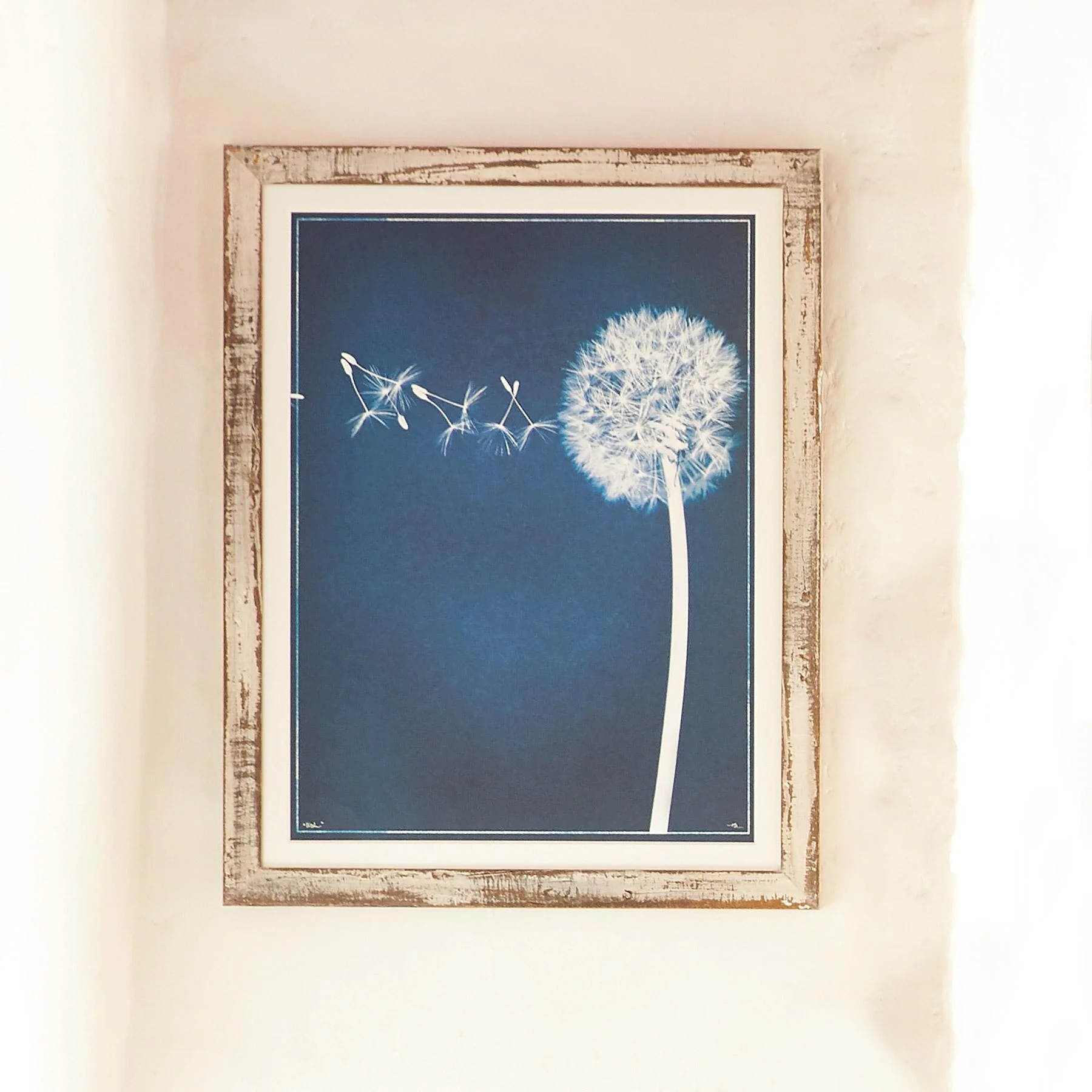 Make A Wish Dandelion Print