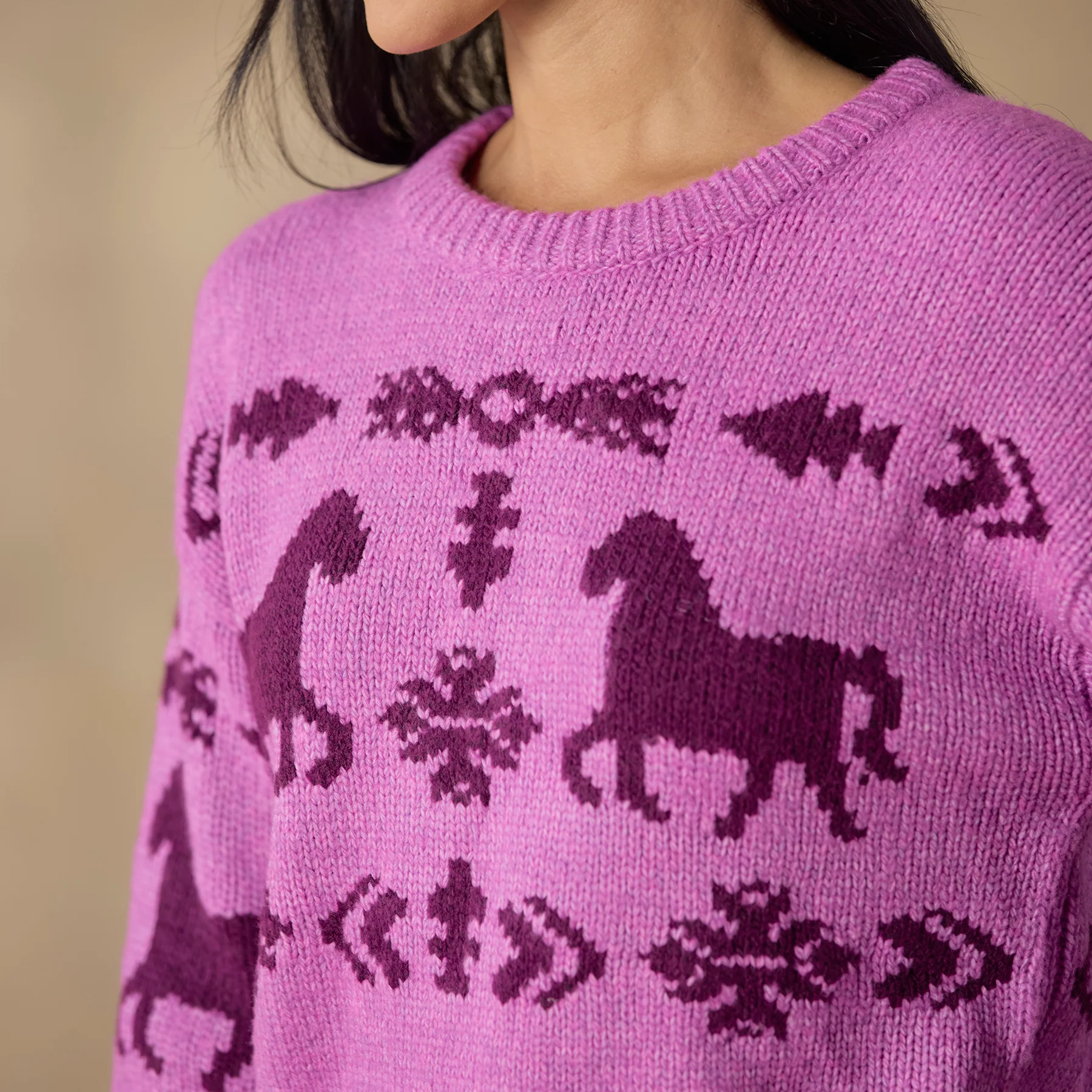 Spirited Horse Sweater, Petite