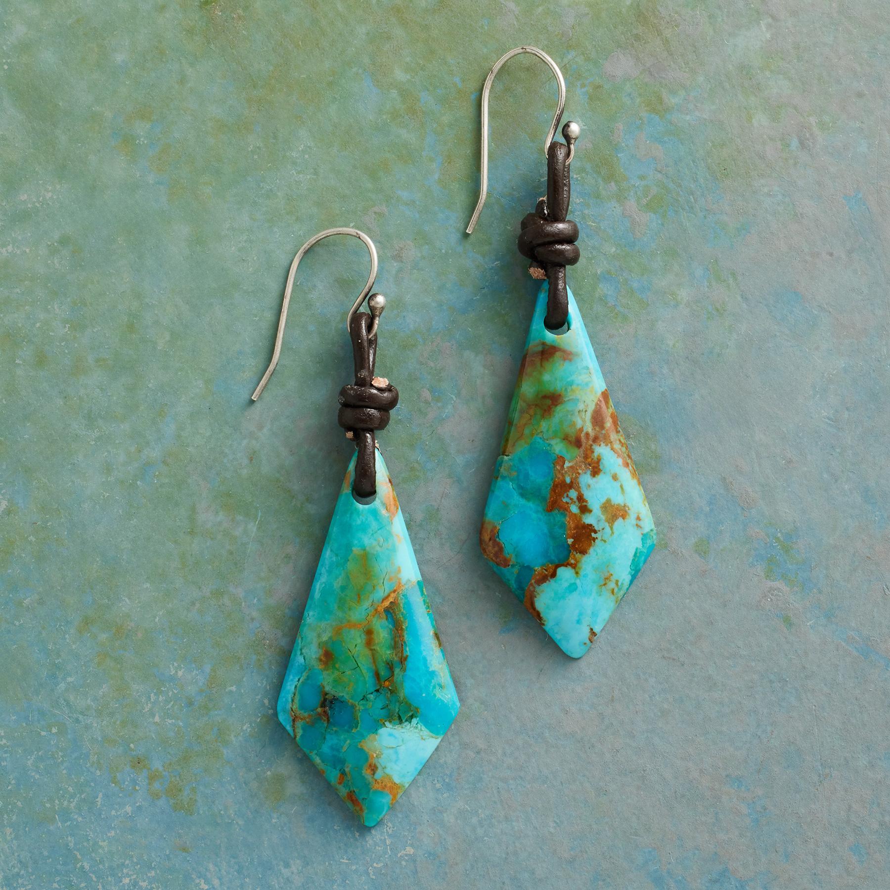 Long View Earrings