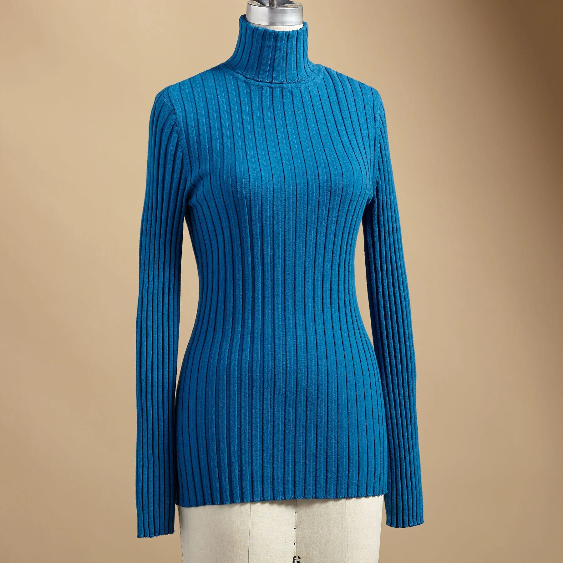 Legends Turtleneck, Petite