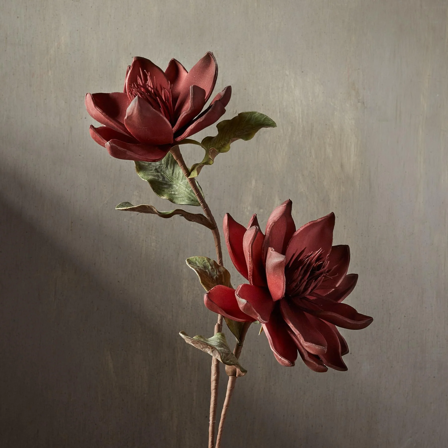 Bountiful Botanicals