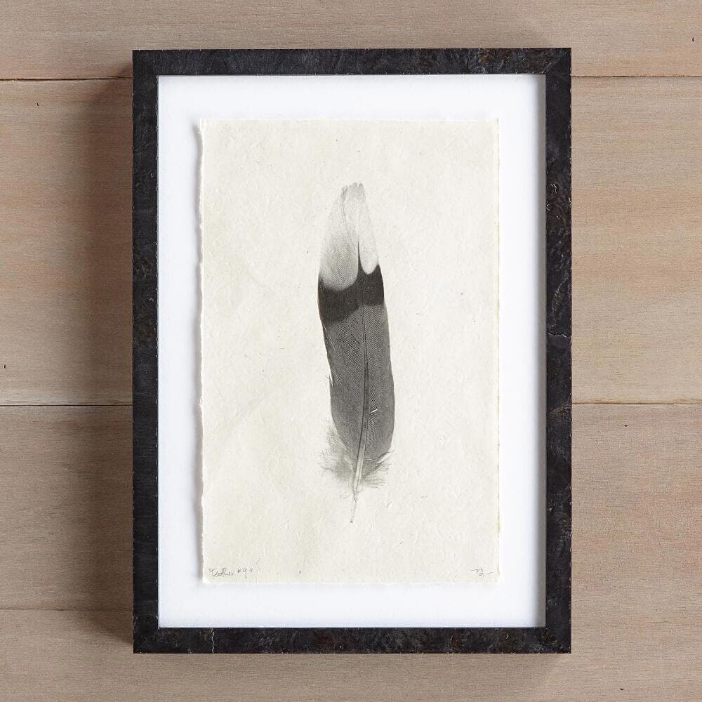 Feather Studies Print