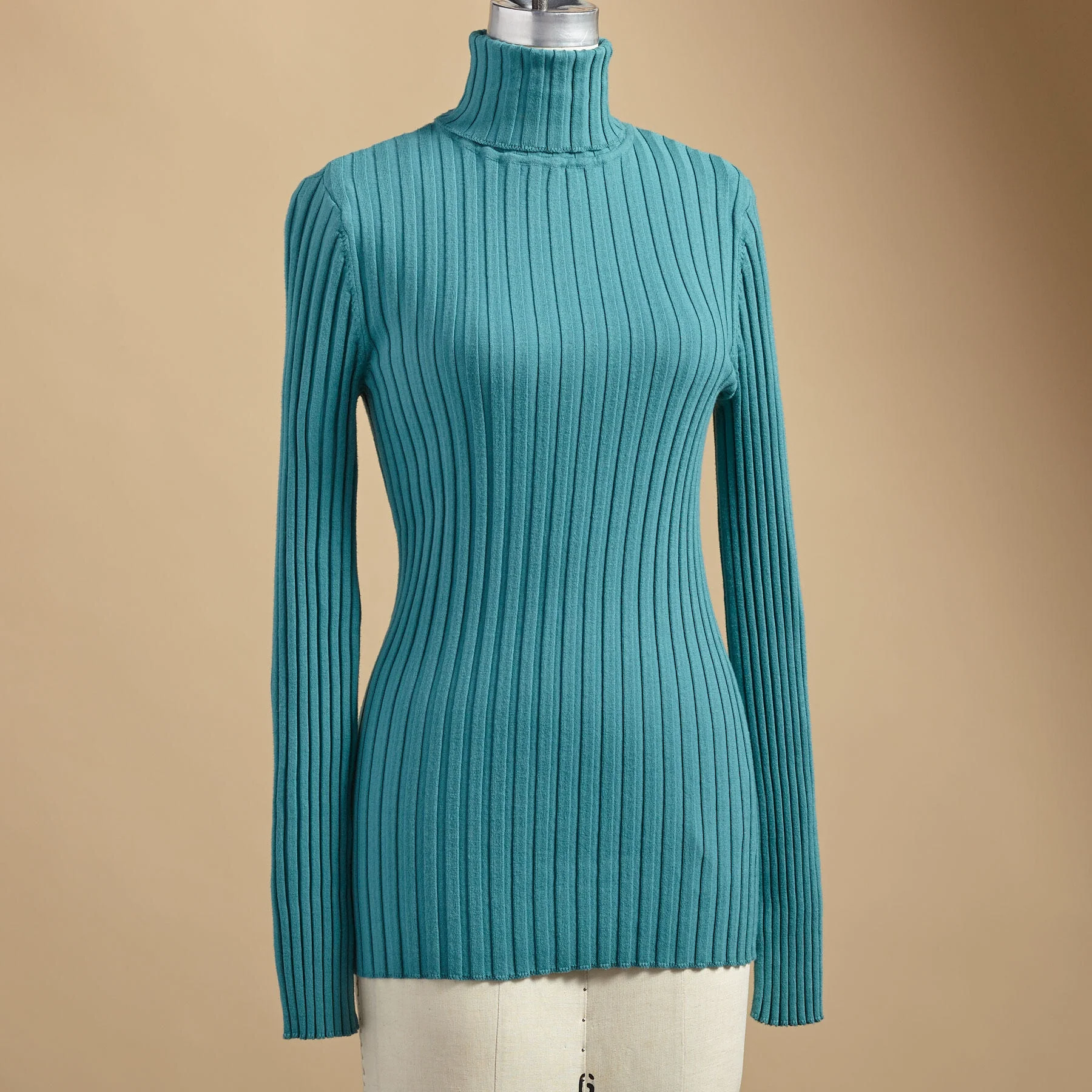 Legends Turtleneck, Petite