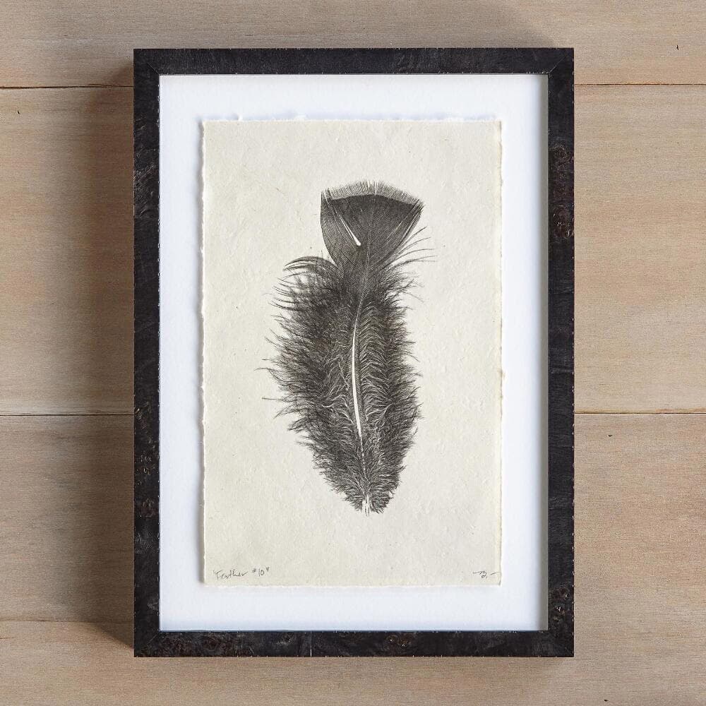 Feather Studies Print