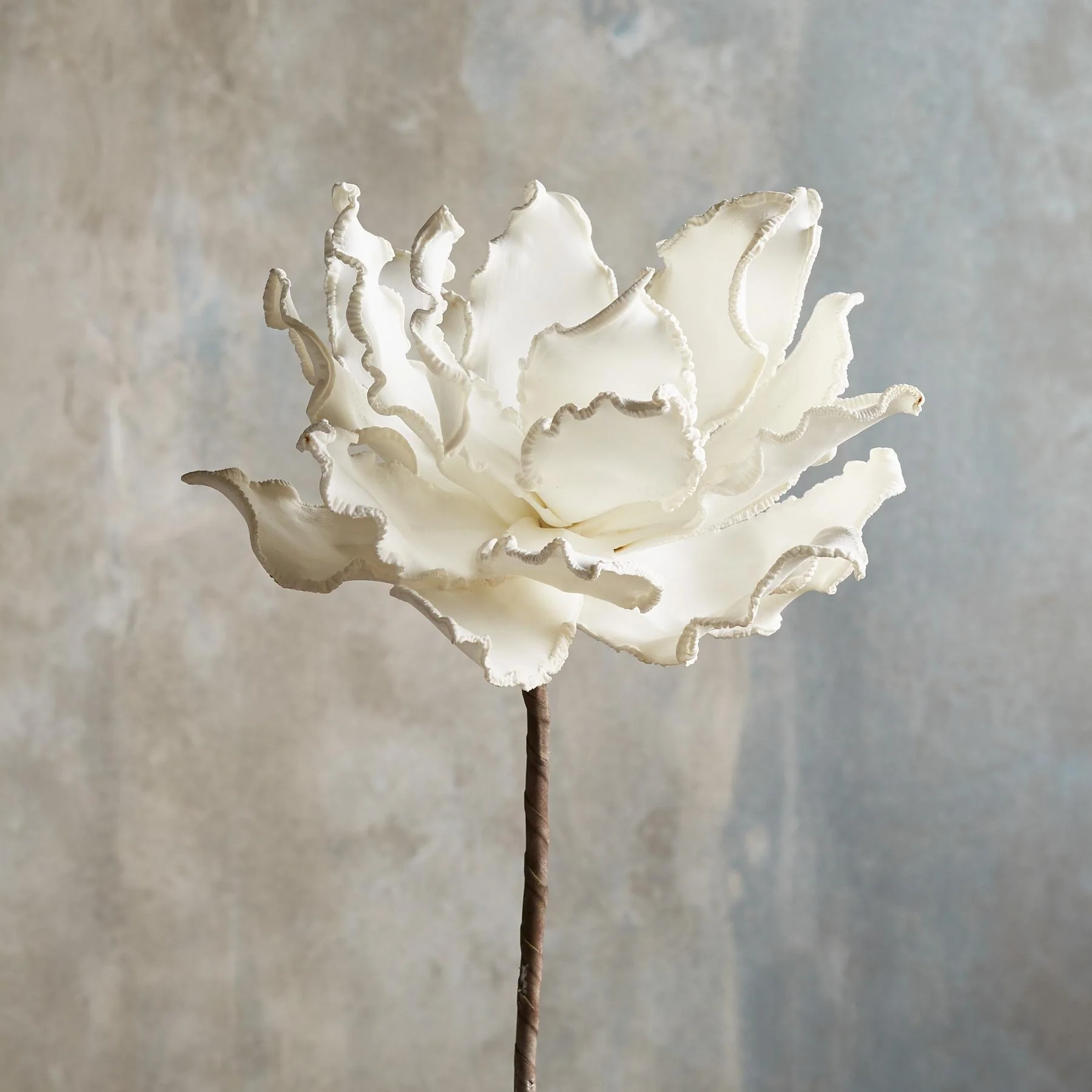 Bountiful Botanicals