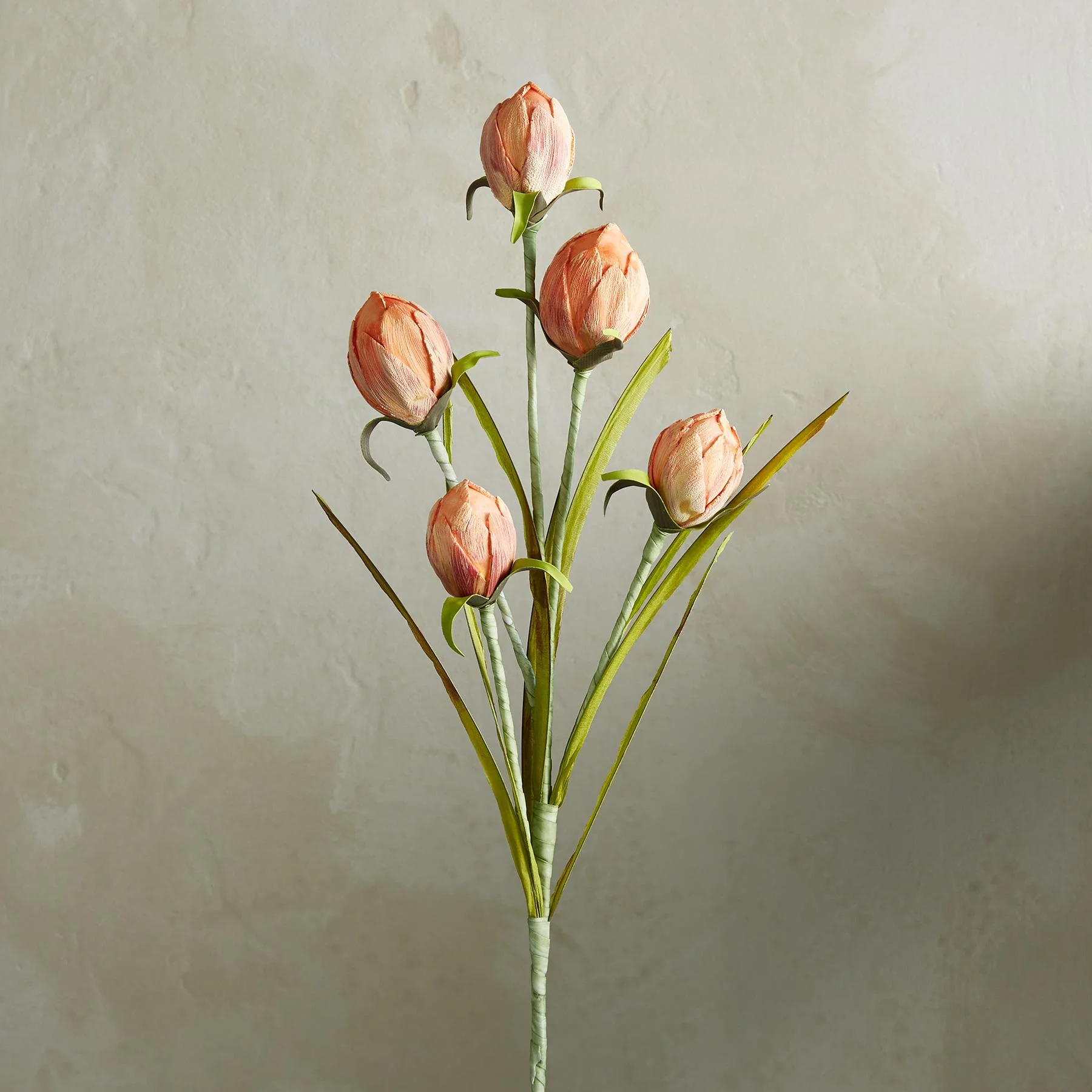 Bountiful Botanicals