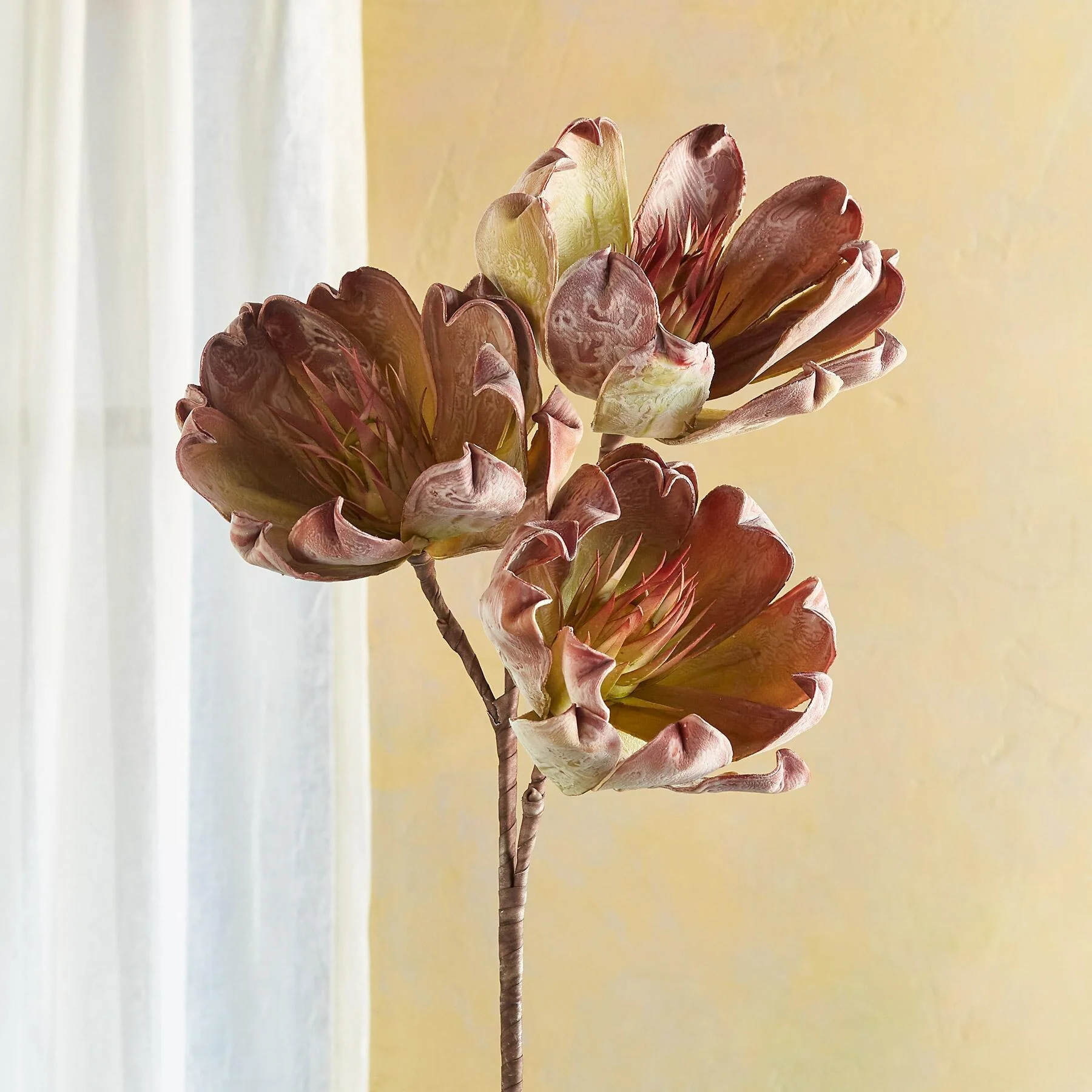 Bountiful Botanicals