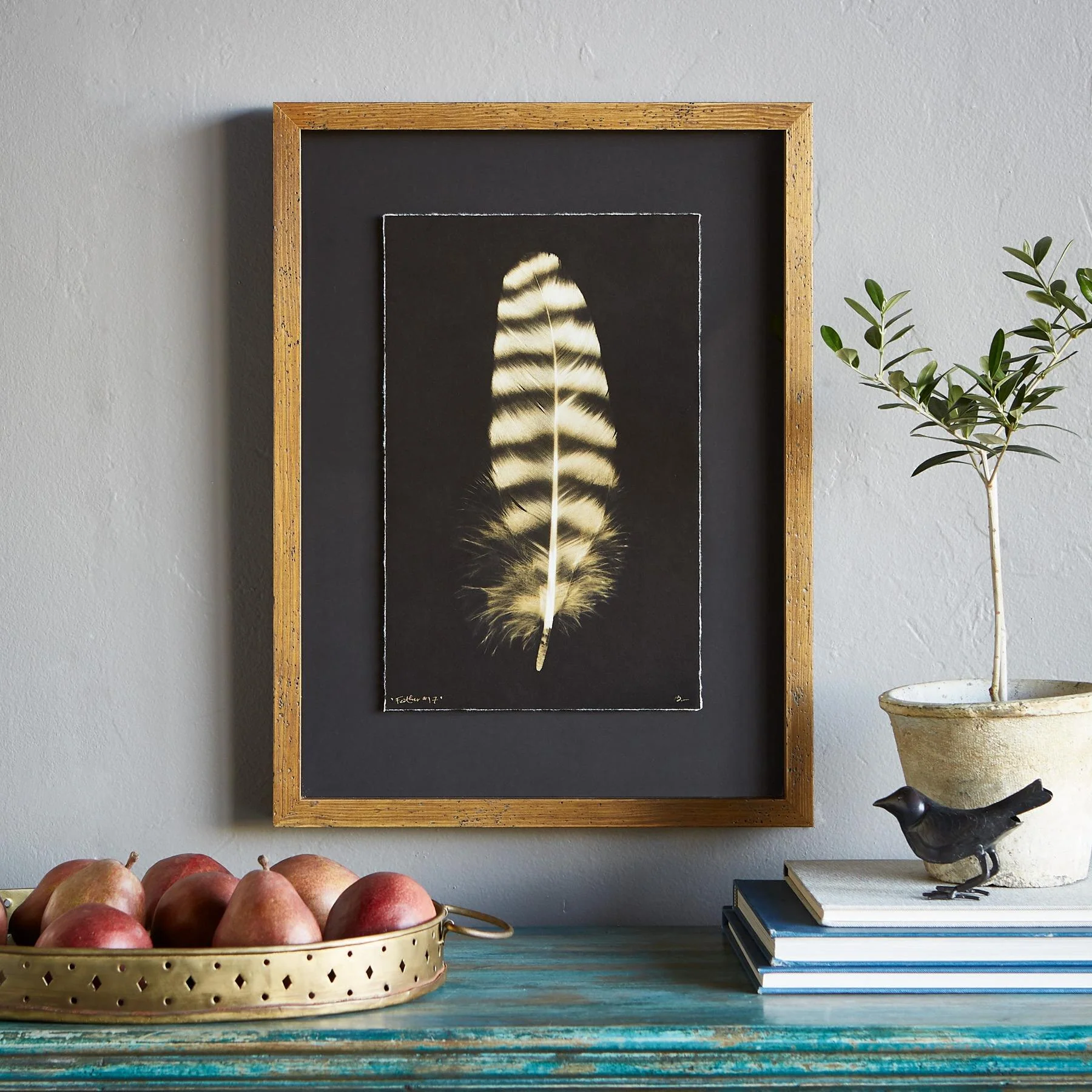 Feather Studies Negatives Prints