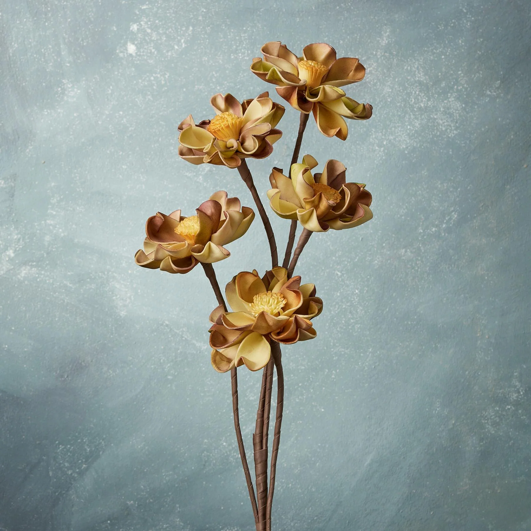 Bountiful Botanicals