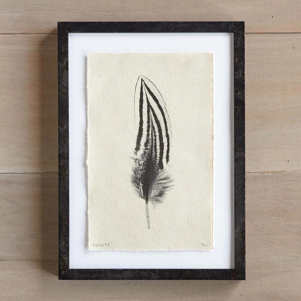 Feather Studies Print