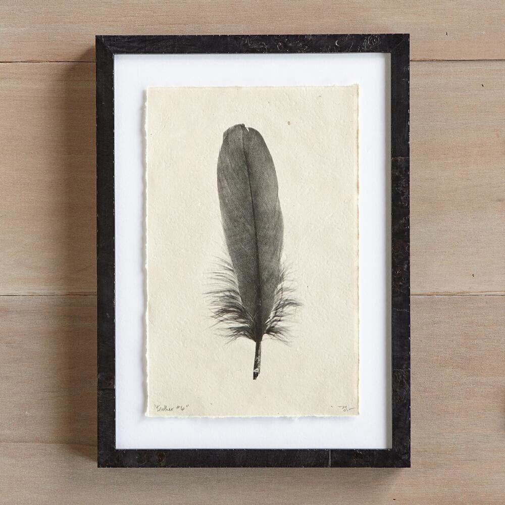Feather Studies Print