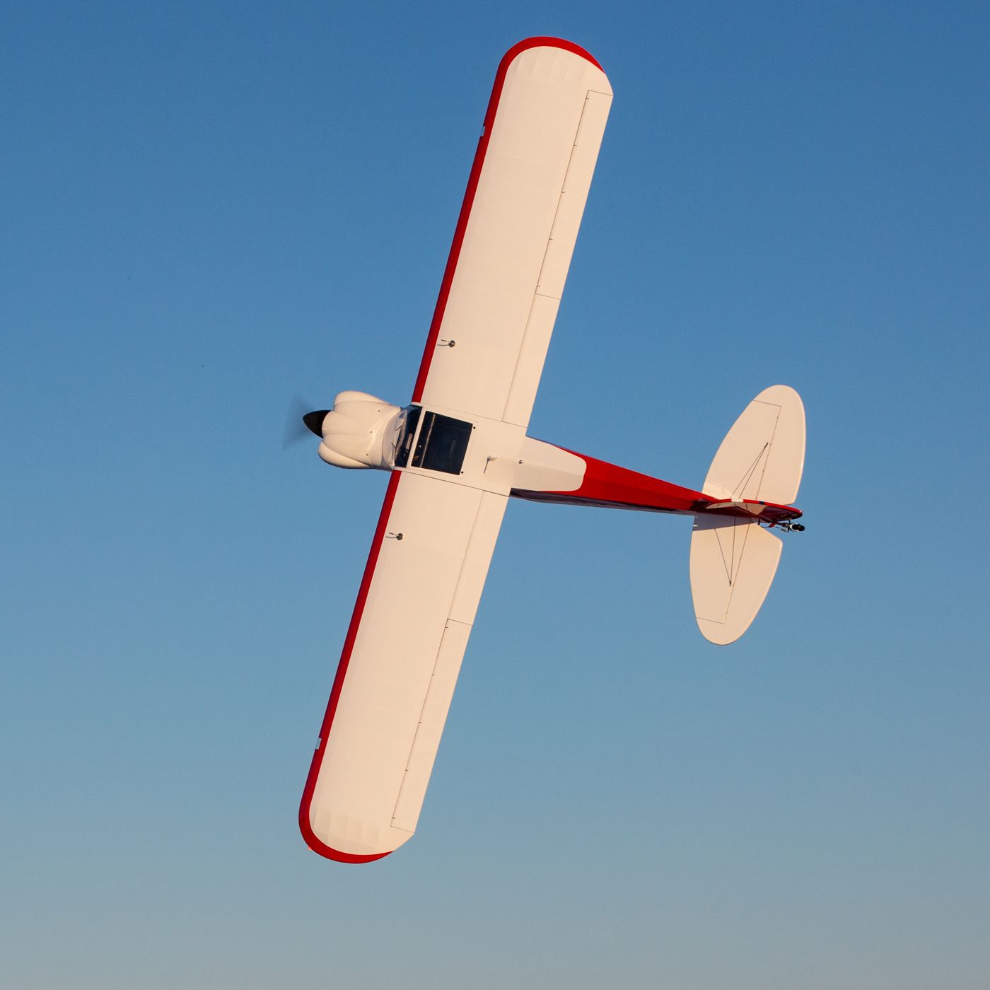 Hangar 9 CubCrafters Cub FX-3 100-200cc 165" w DLE170 170cc
