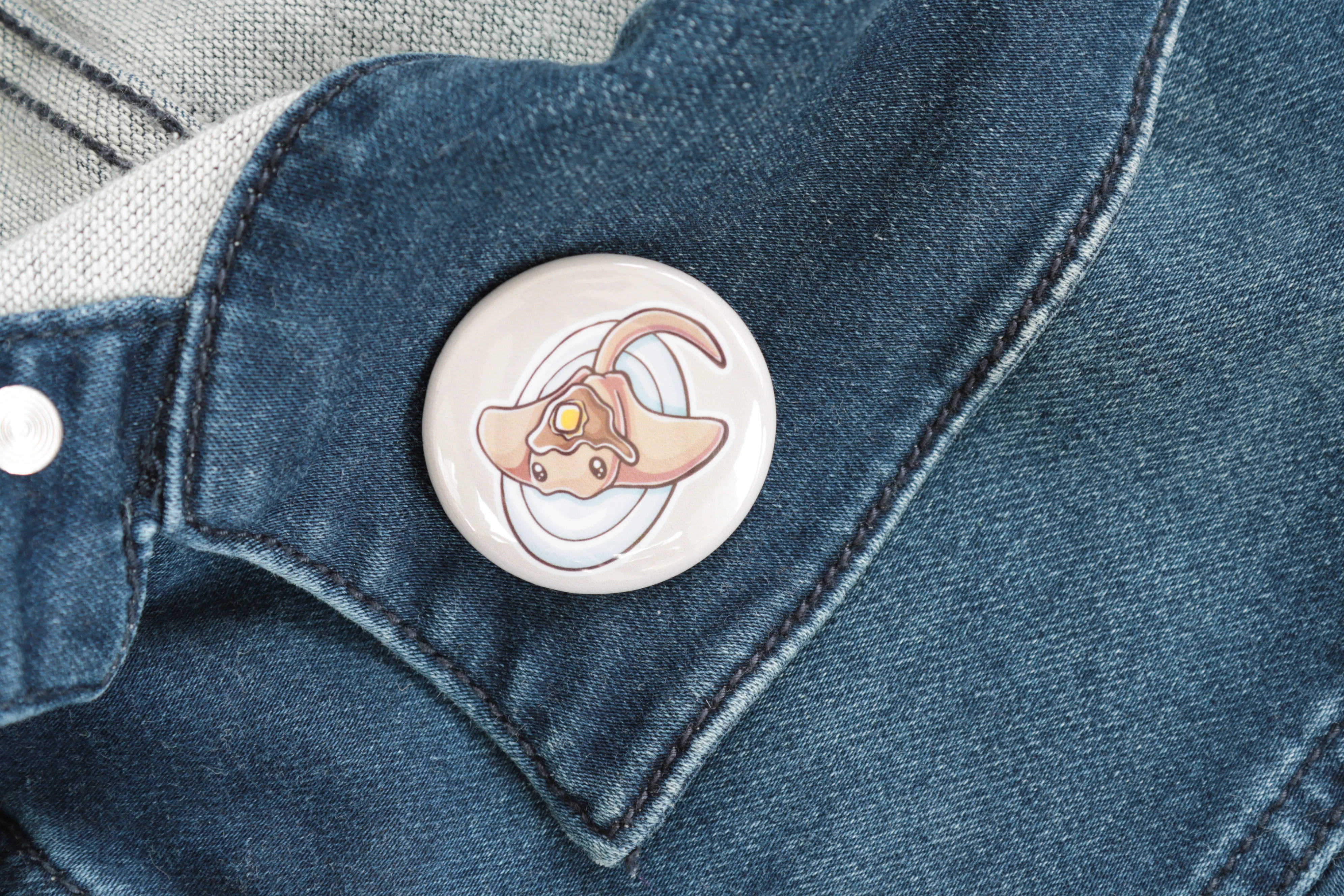 Sea Pancake Pinback Button
