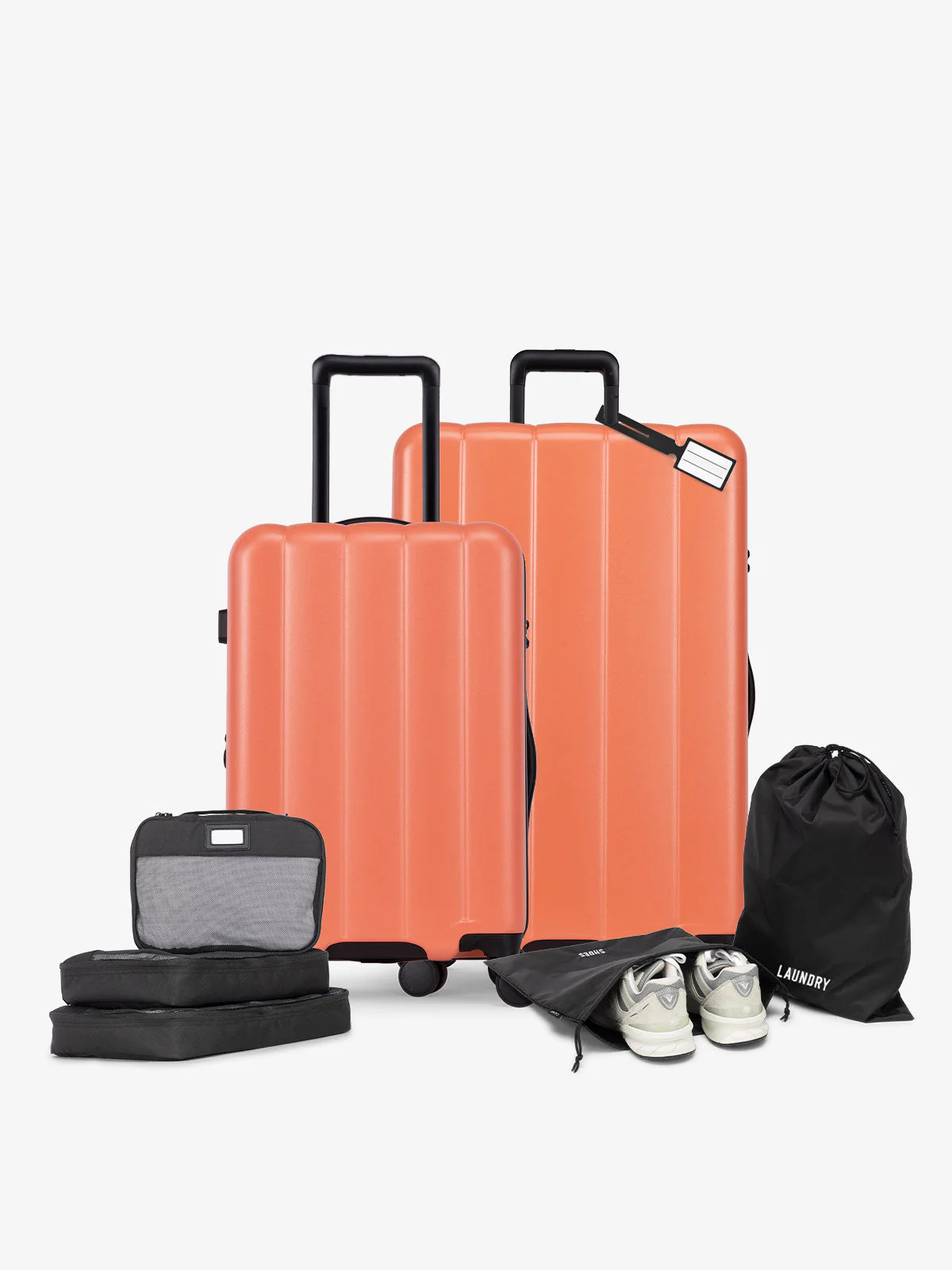 2025 Evry Starter Bundle