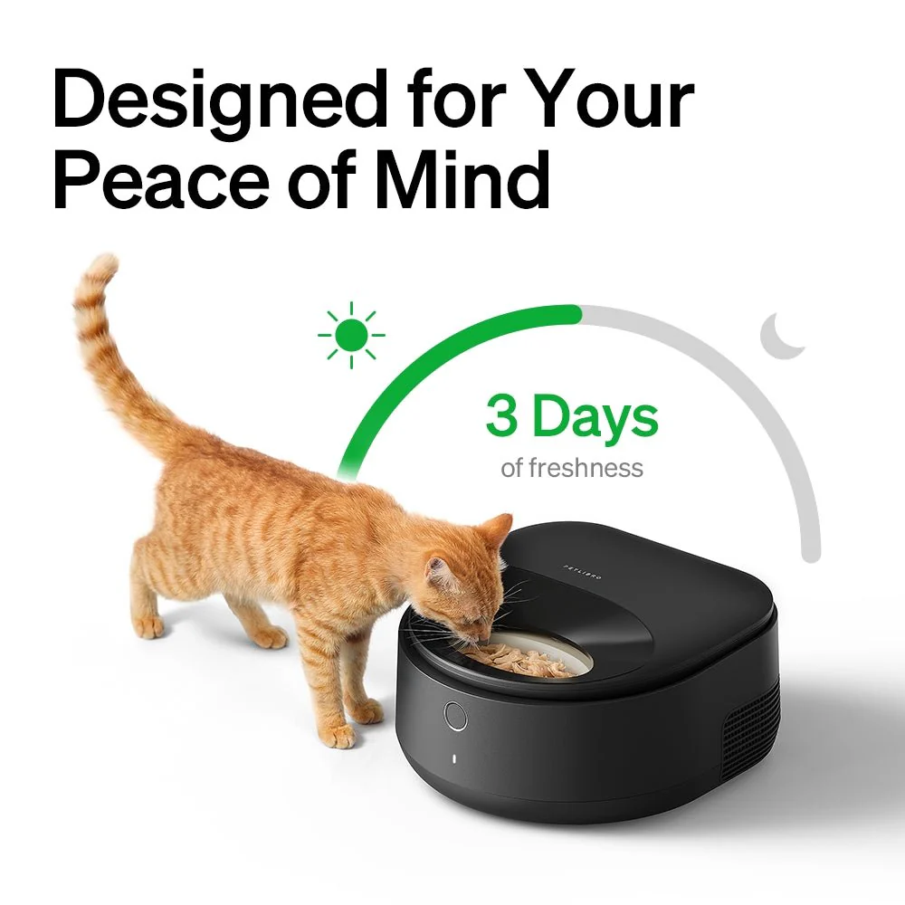 All-in-One Smart Feeding & Hydration Bundle