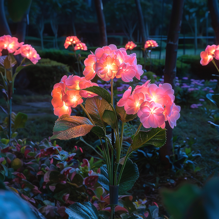 Fairy Hortensia Lichtjes