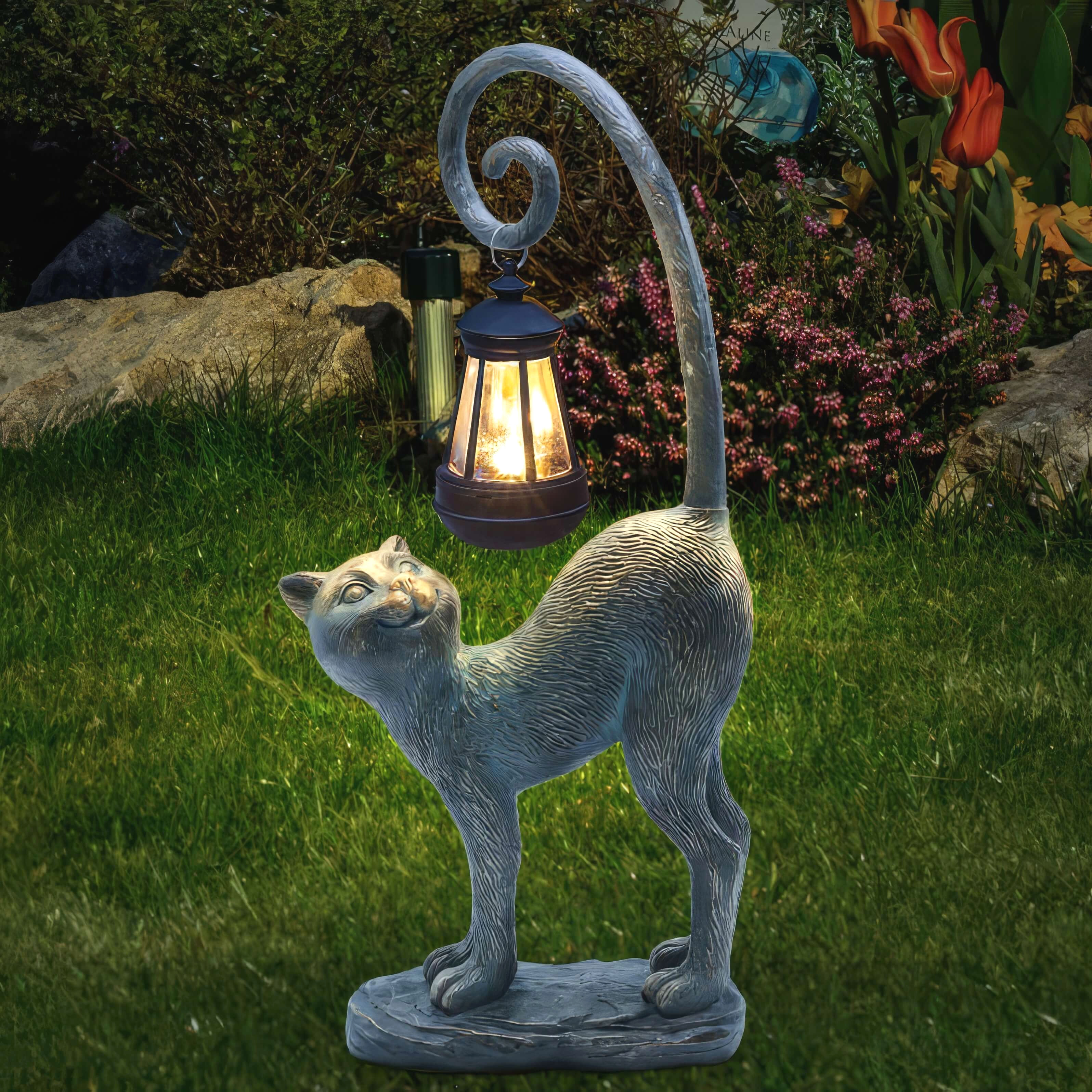 Snorhaar Wonderkat