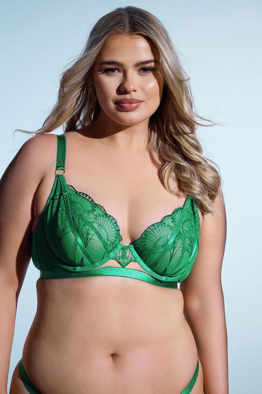Playful Promises PLAYFUL PROMISES Green Lace Embroidered Underwired Bra