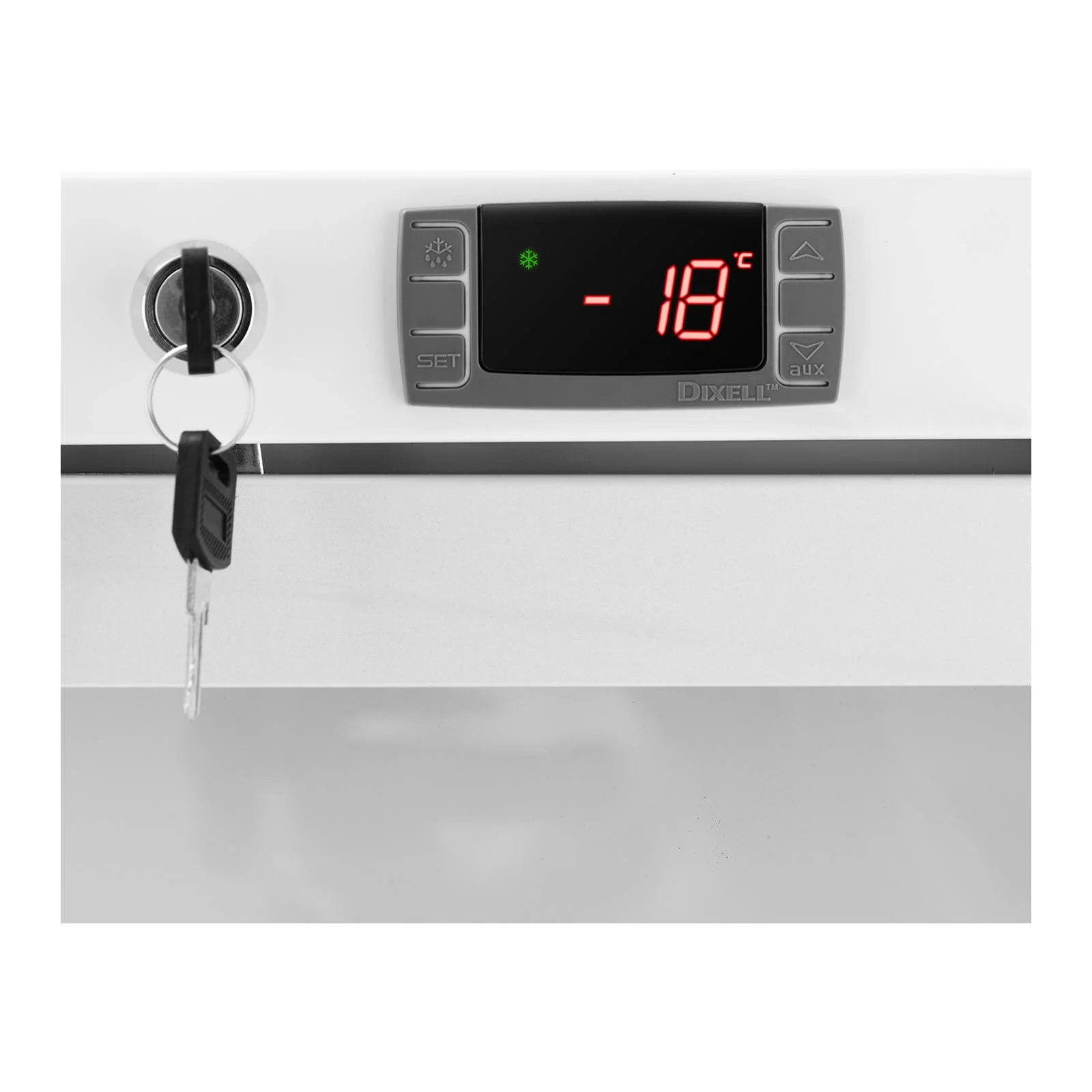 Grand congélateur armoire vertical grande capacité réfrigérantR290 (volume: 380litres, puissance: 425watts, porte à double vitrage) 14_0005264