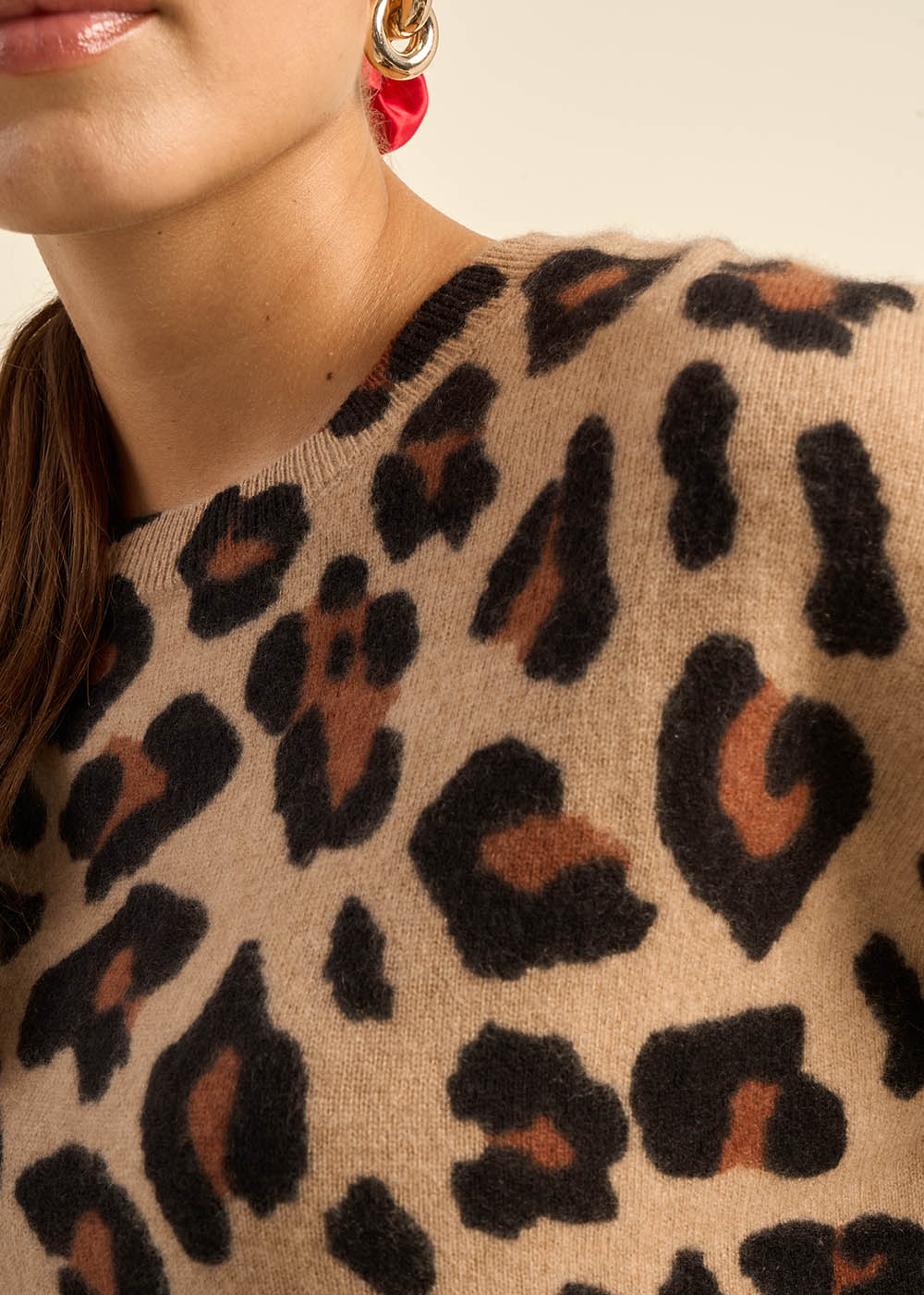 Pull imprimé léopard en cachemire