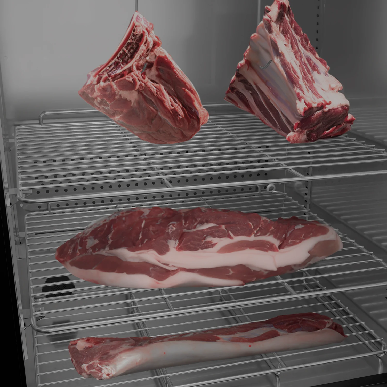 Cave de maturation à viande - BLK660 H.Koenig