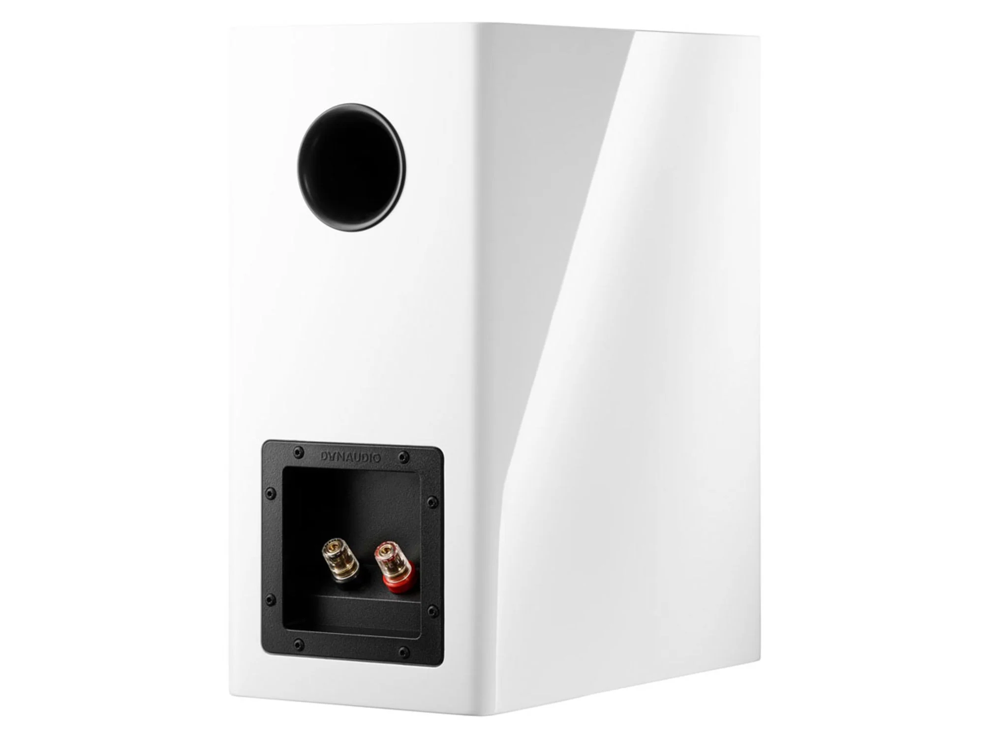 DYNAUDIO EVOKE 20 (la paire)