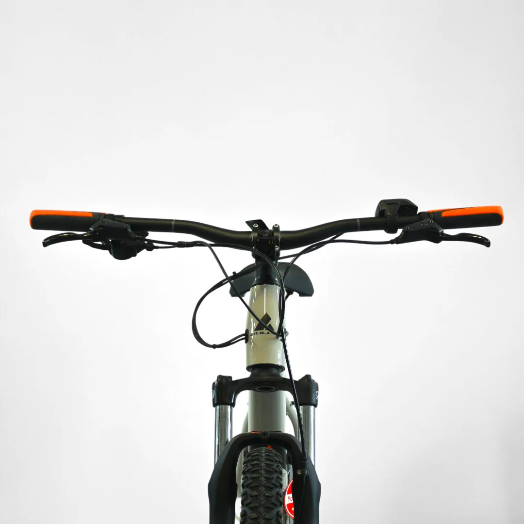 Vélo électrique Bulls LT Performance 29 (taille L)