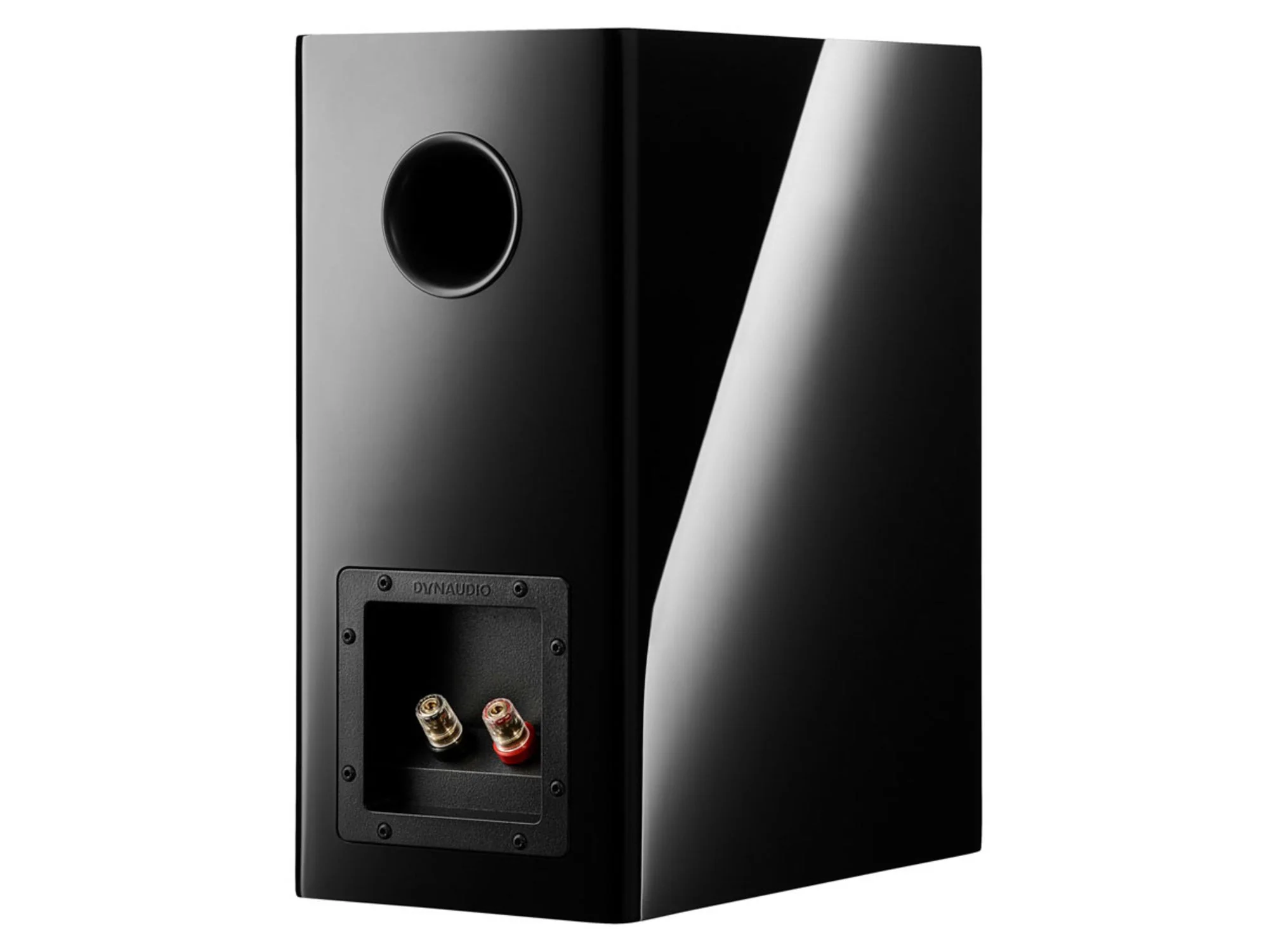 DYNAUDIO EVOKE 20 (la paire)