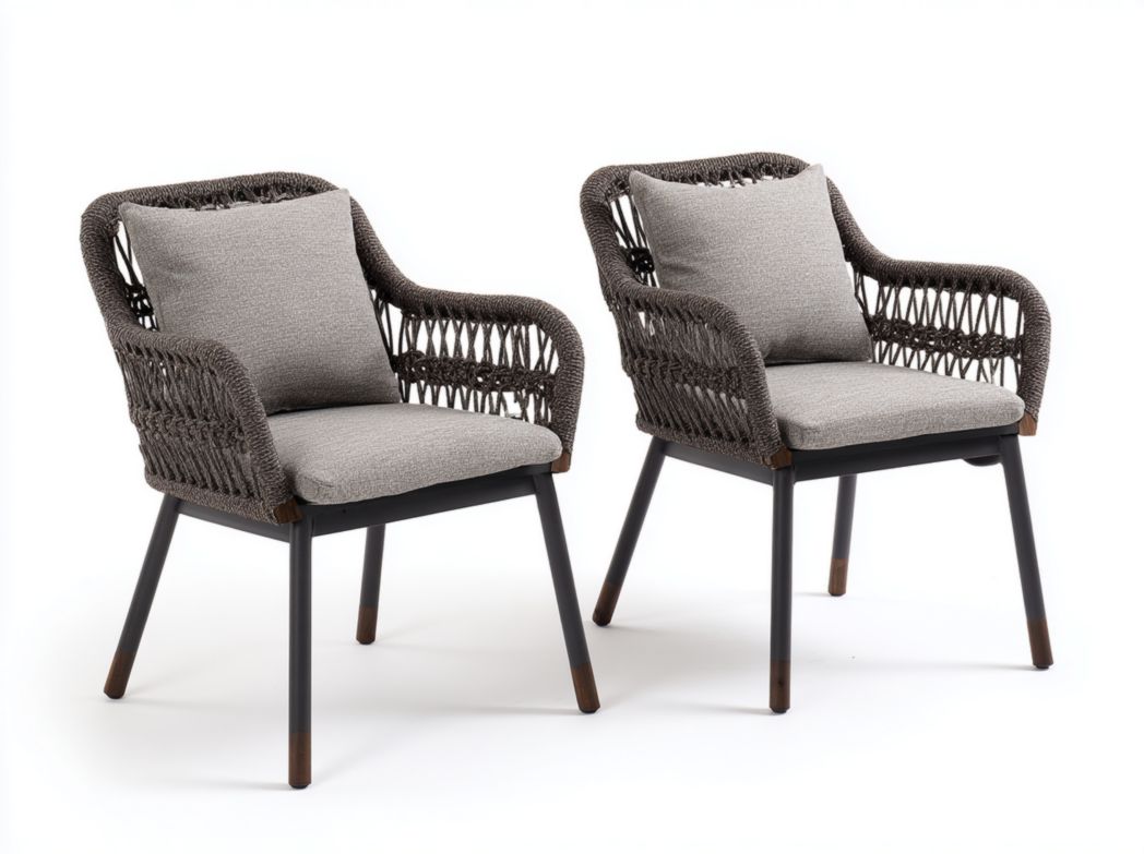 Lot de 2 fauteuils de jardin en fibre tressée brun foncé｜avec coussins gris