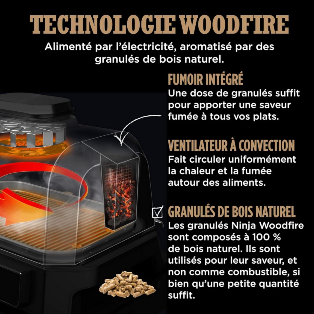 Barbecue et fumoir électrique Ninja Woodfire Pro XL avec thermomètre, barbecue d'extérieur 4 en 1 et friteuse à air avec système de cuisson intelligent et granulés de bois, portable, gris/noir, OG850EU