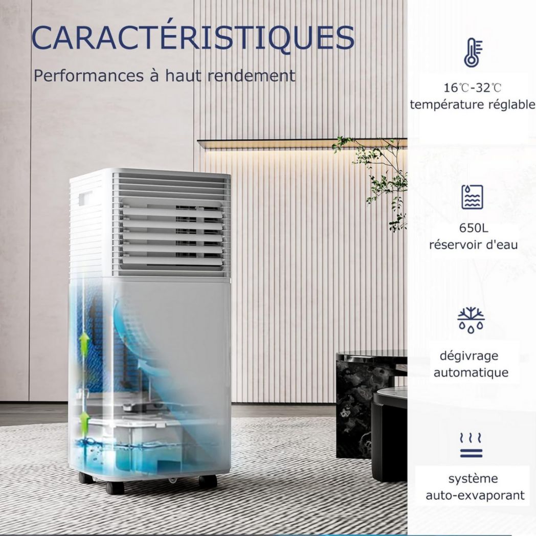 Climatiseur portable GOPLUS 9000 BTU 2,6 kW, 4 en 1, refroidissement, déshumidification, ventilateur, mode nuit, minuterie 24 h, télécommande/écran, 20 ㎡, noir, R290