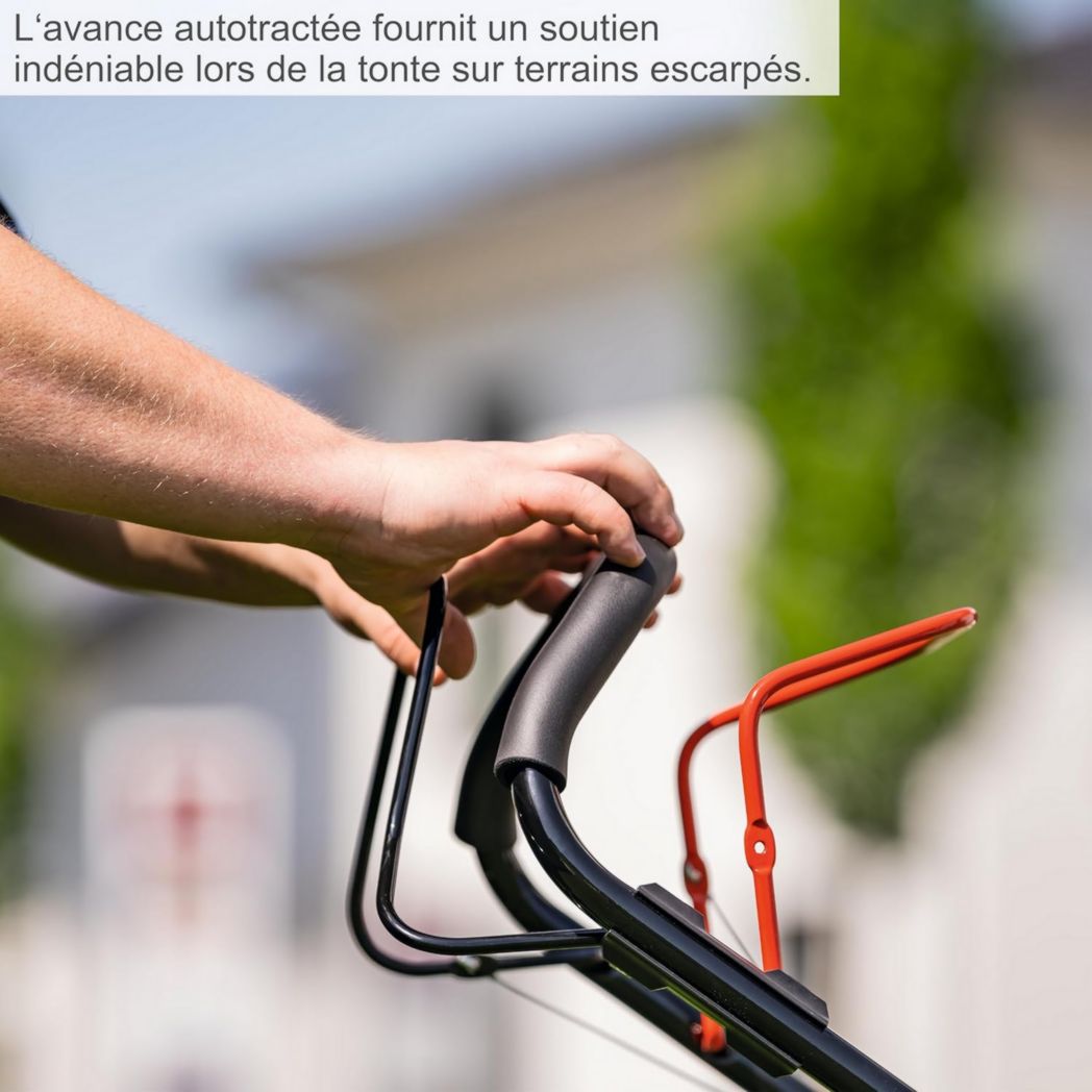 Tondeuse thermique autotractée Scheppach MS225-53 - Moteur 6 CV / 4,4 KW - Largeur de coupe 53 cm - Hauteur de coupe réglable - Panier 65 l - Fonctions mulching et nettoyage - Éjection latérale