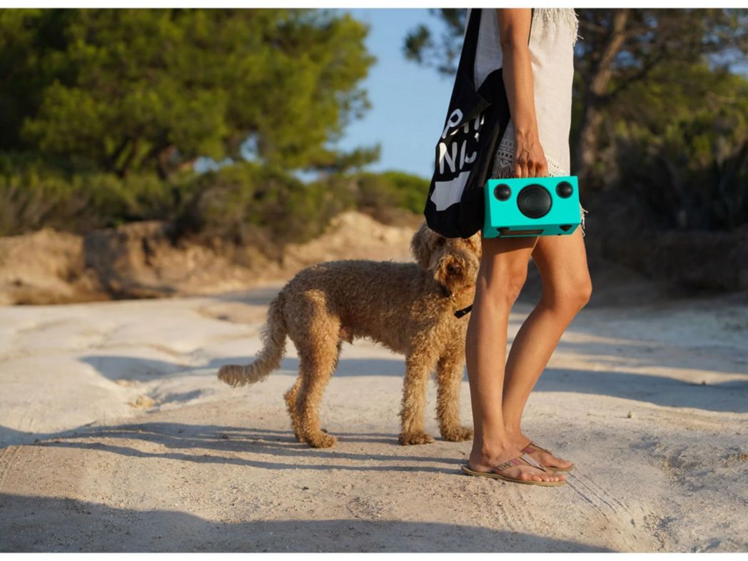 Module complémentaire AUDIO PRO T3+