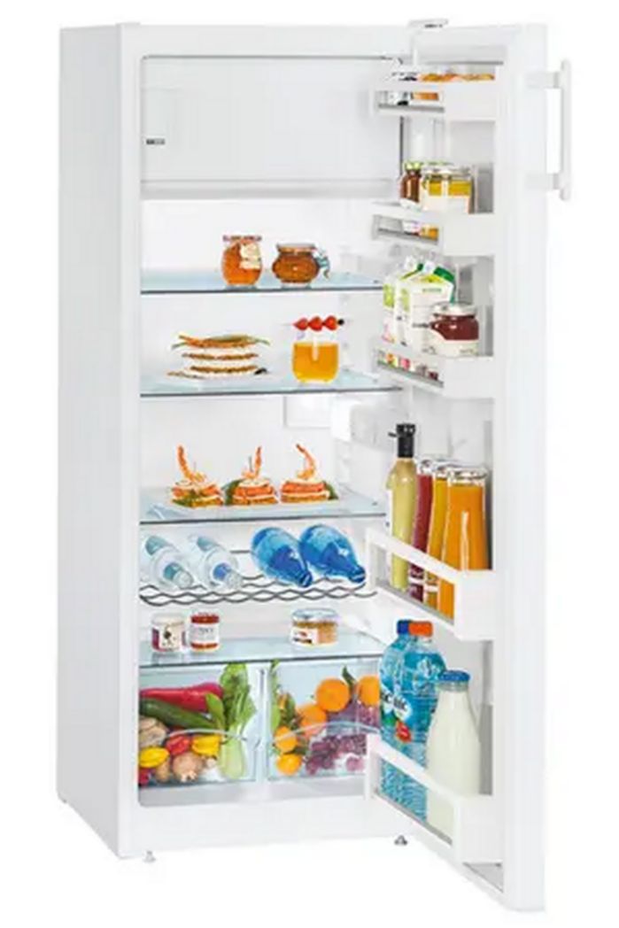 Réfrigérateur une porte Liebherr KPE290-26