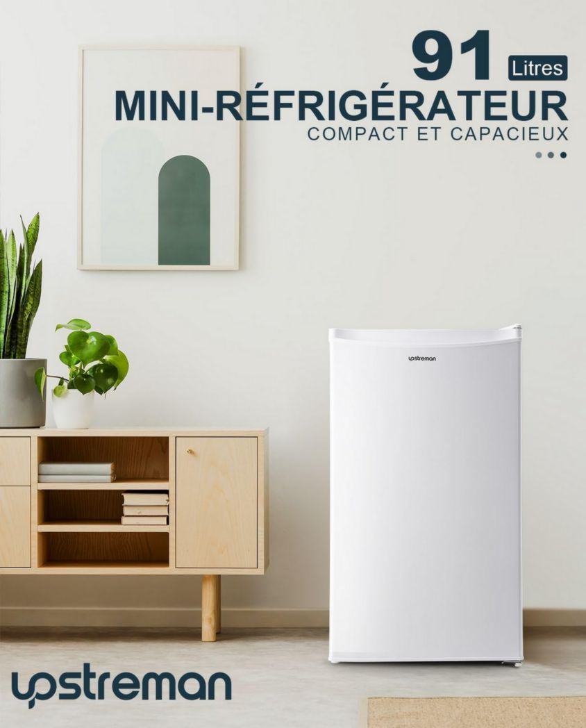 Mini-réfrigérateur Upstreman 91 L avec congélateur, thermostat réglable, pour petite pièce, réfrigérateur haut de gamme pour dortoir, bureau, blanc - BR321