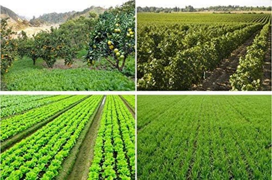 2bebeauty 10L Pulvérisateur agricole à drone Vol automatique Localisation précise Capacité de 10 kg